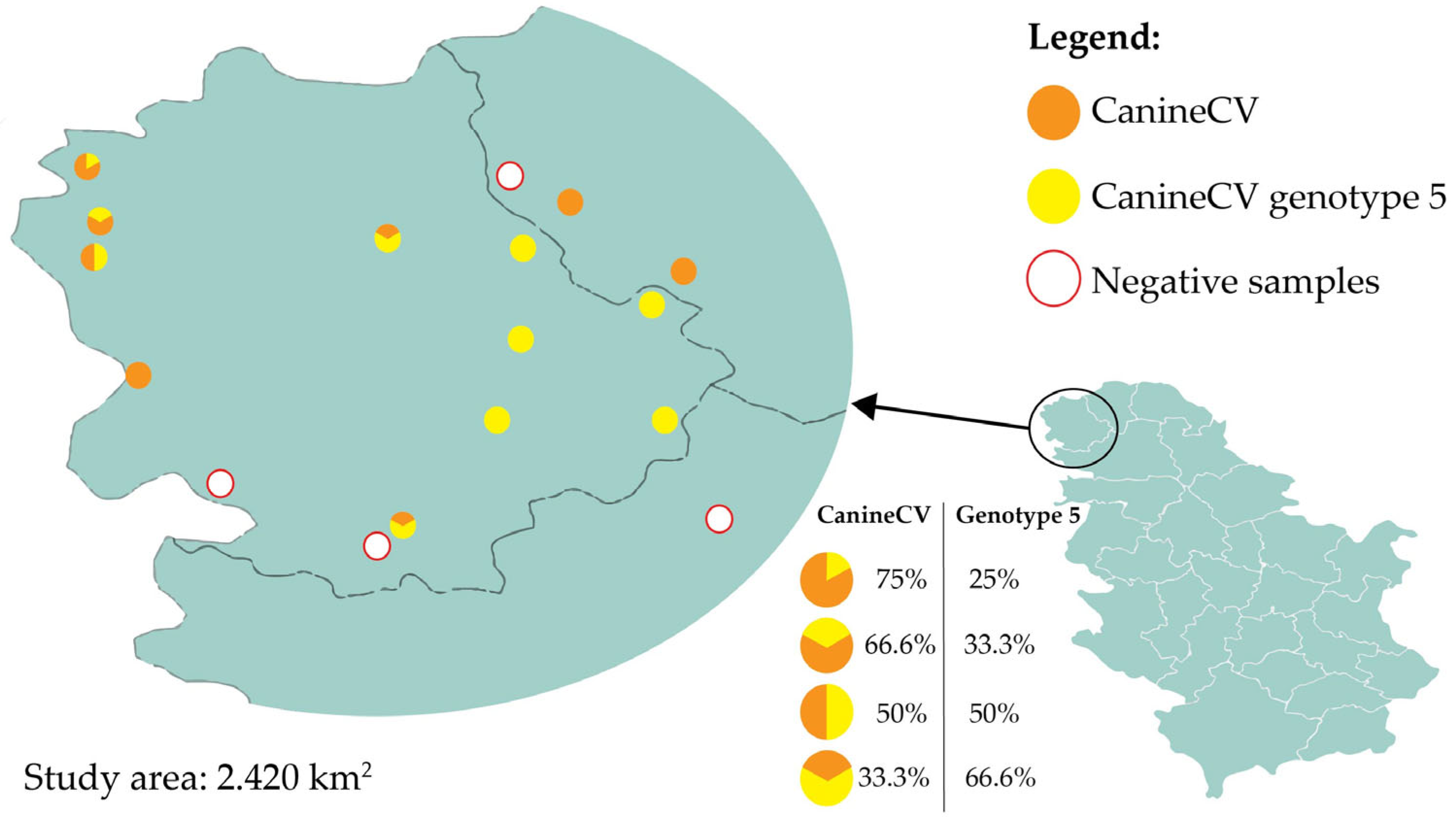 Vetsci 12 00515 g001