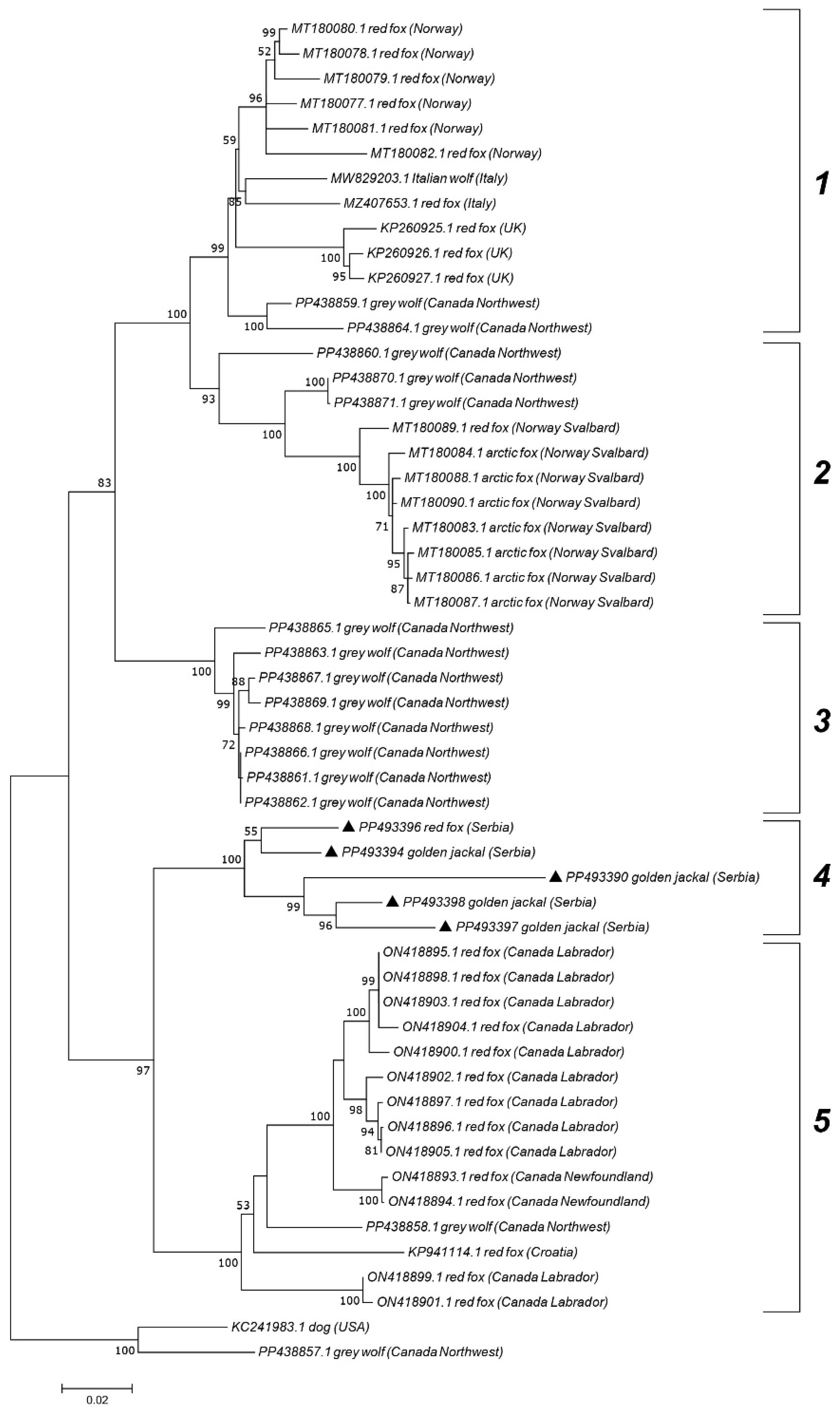 Vetsci 12 00515 g004