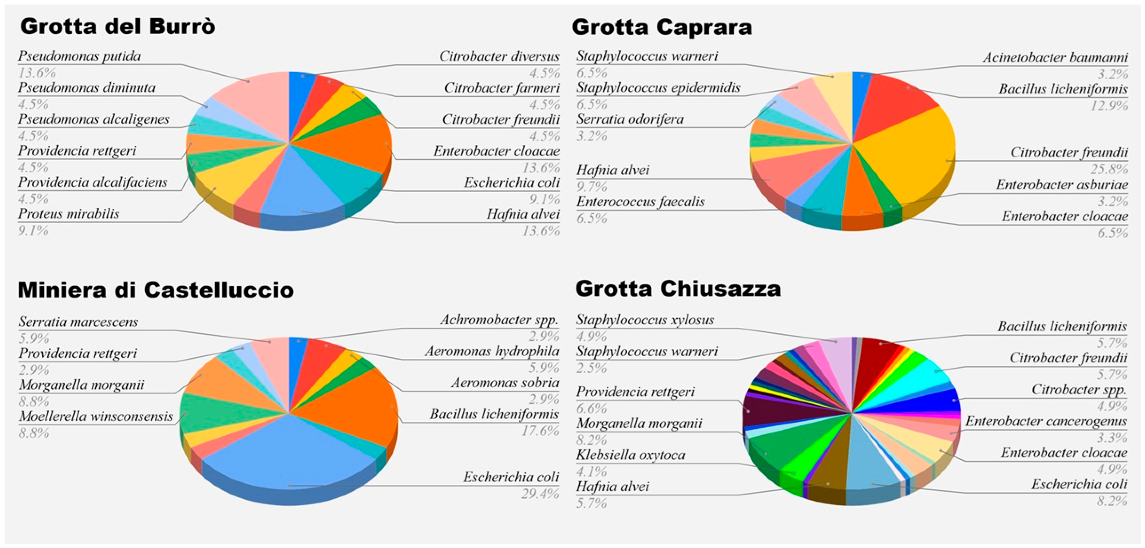 Vetsci 12 00516 g001