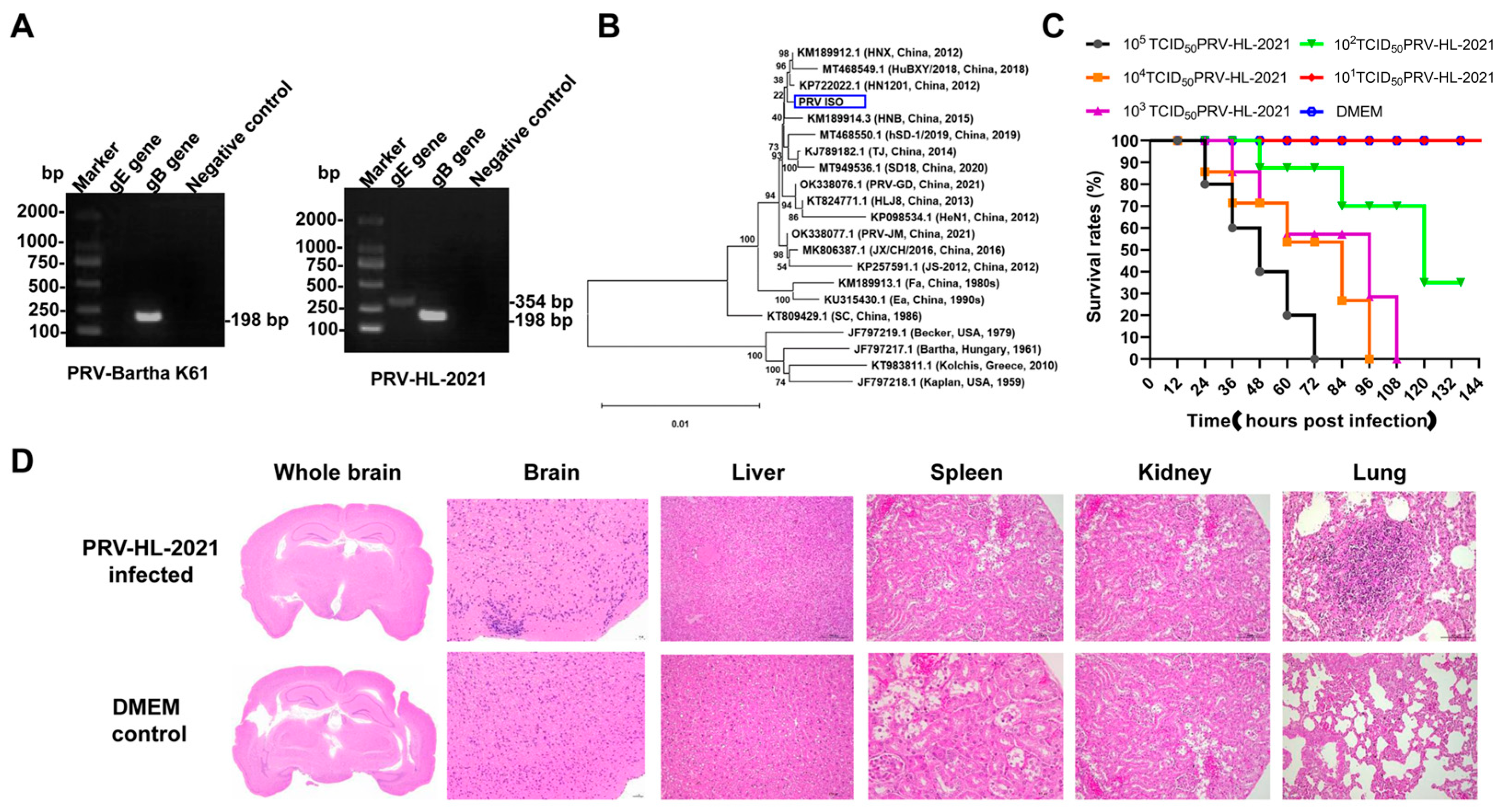 Vetsci 12 00519 g003