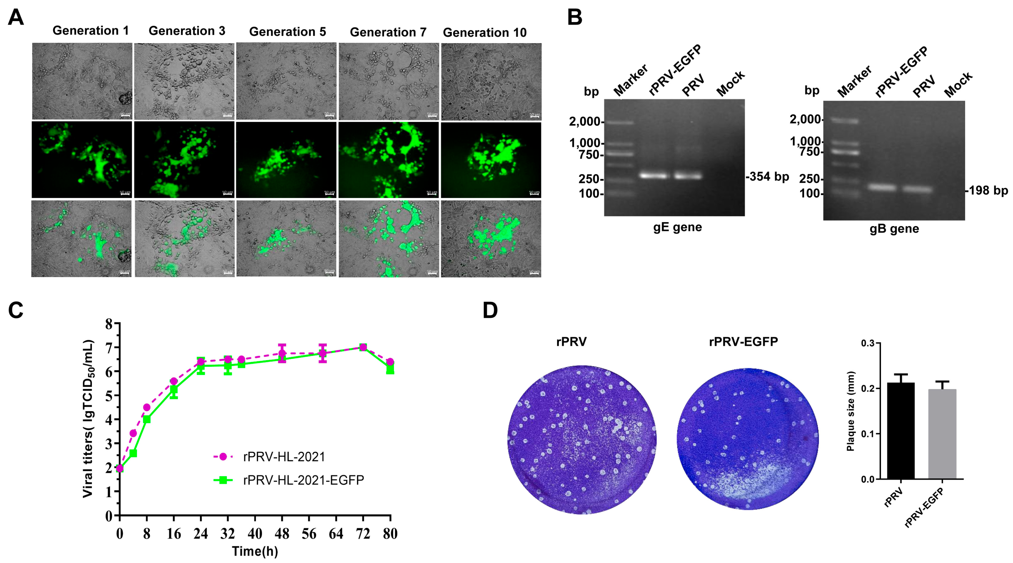 Vetsci 12 00519 g006