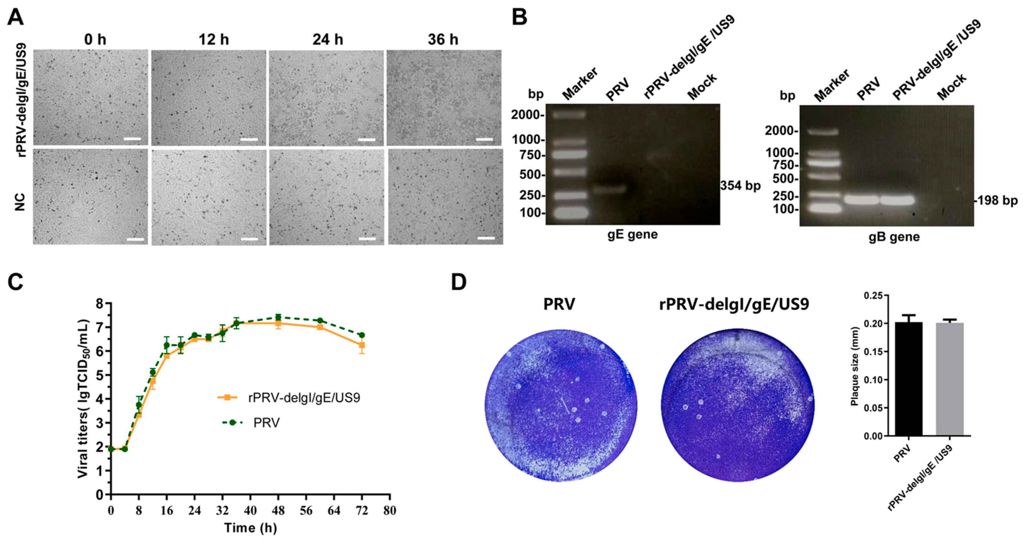Vetsci 12 00519 g007