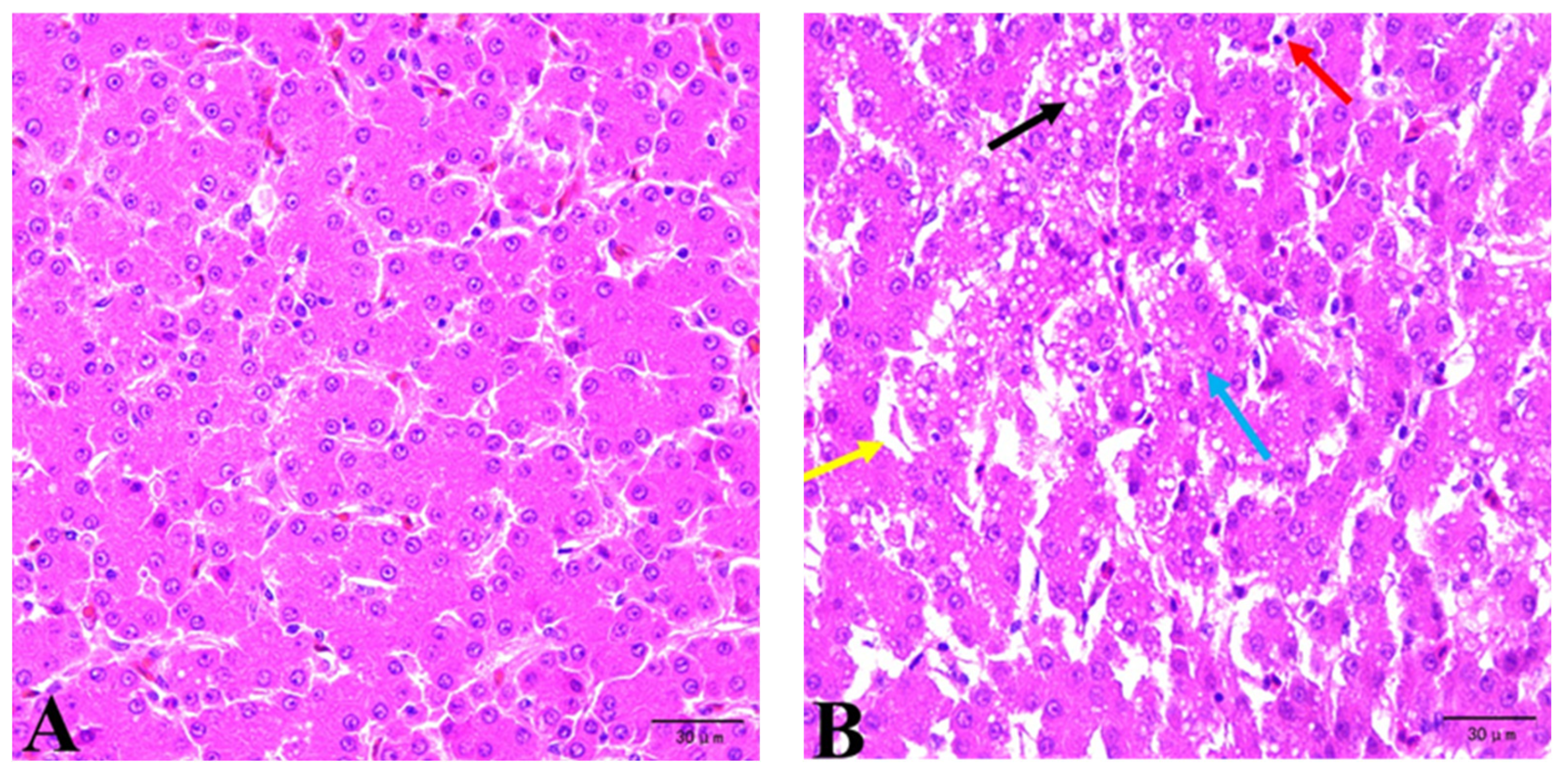Vetsci 12 00520 g001a