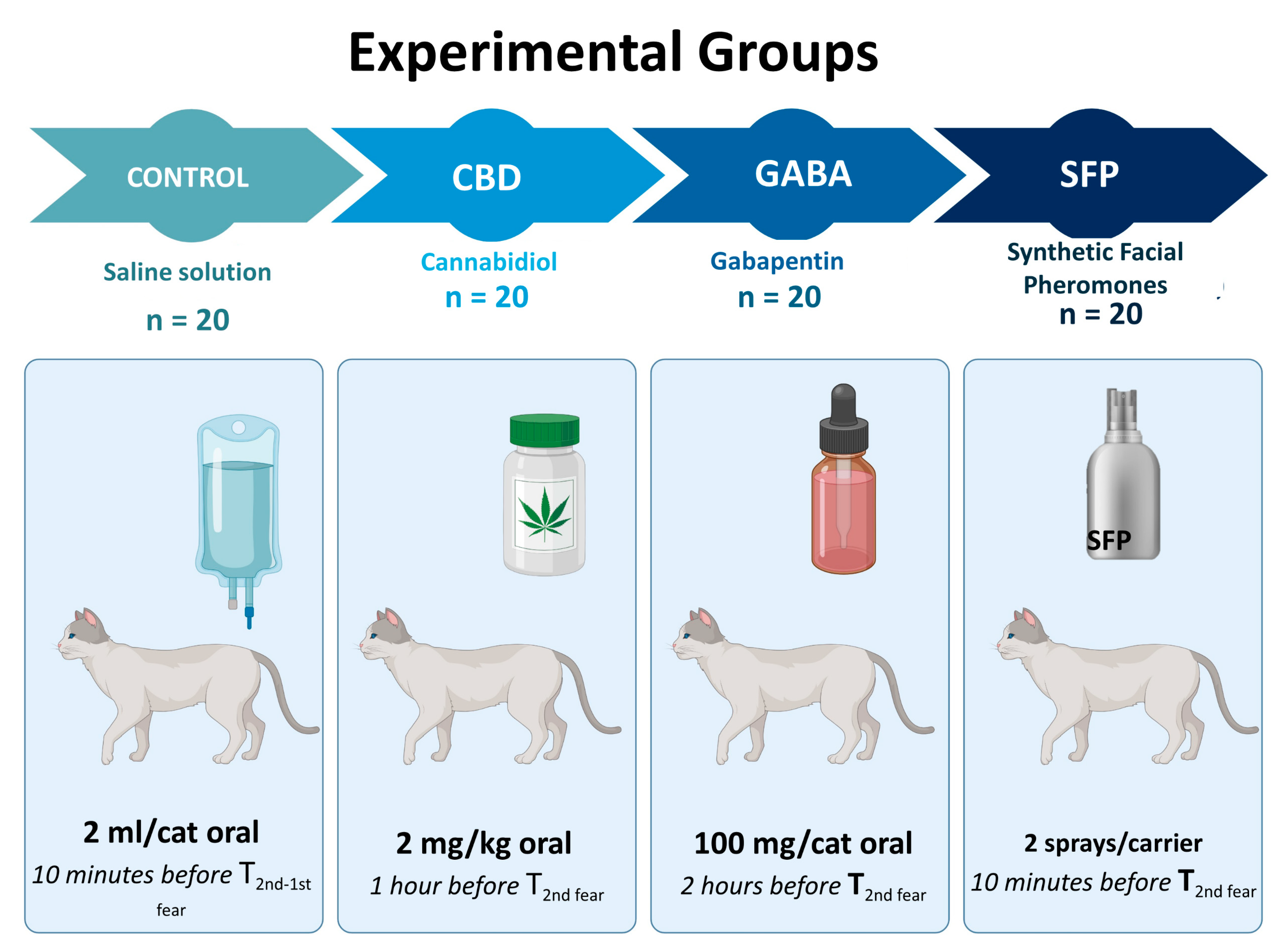 Vetsci 12 00523 g001