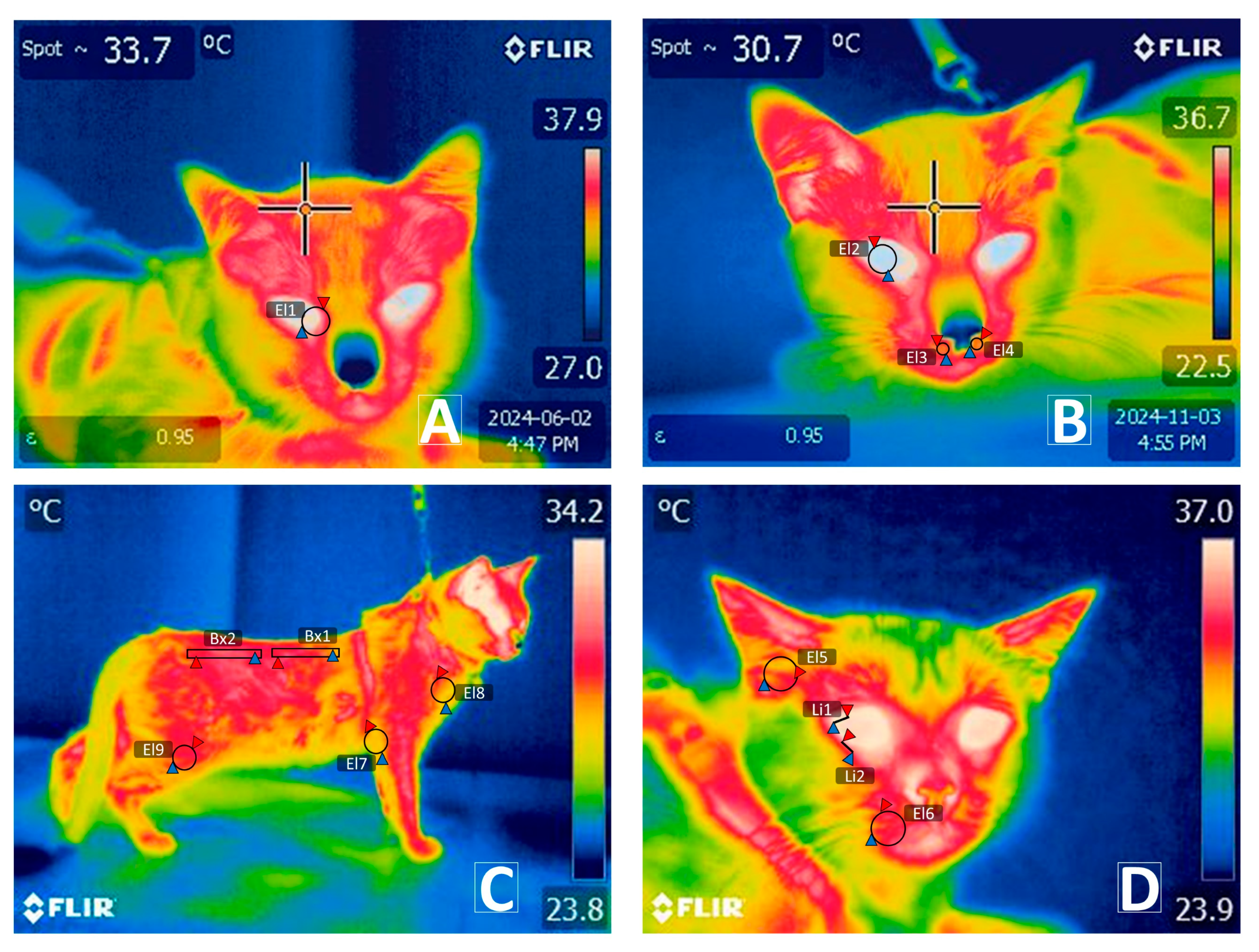 Vetsci 12 00523 g003