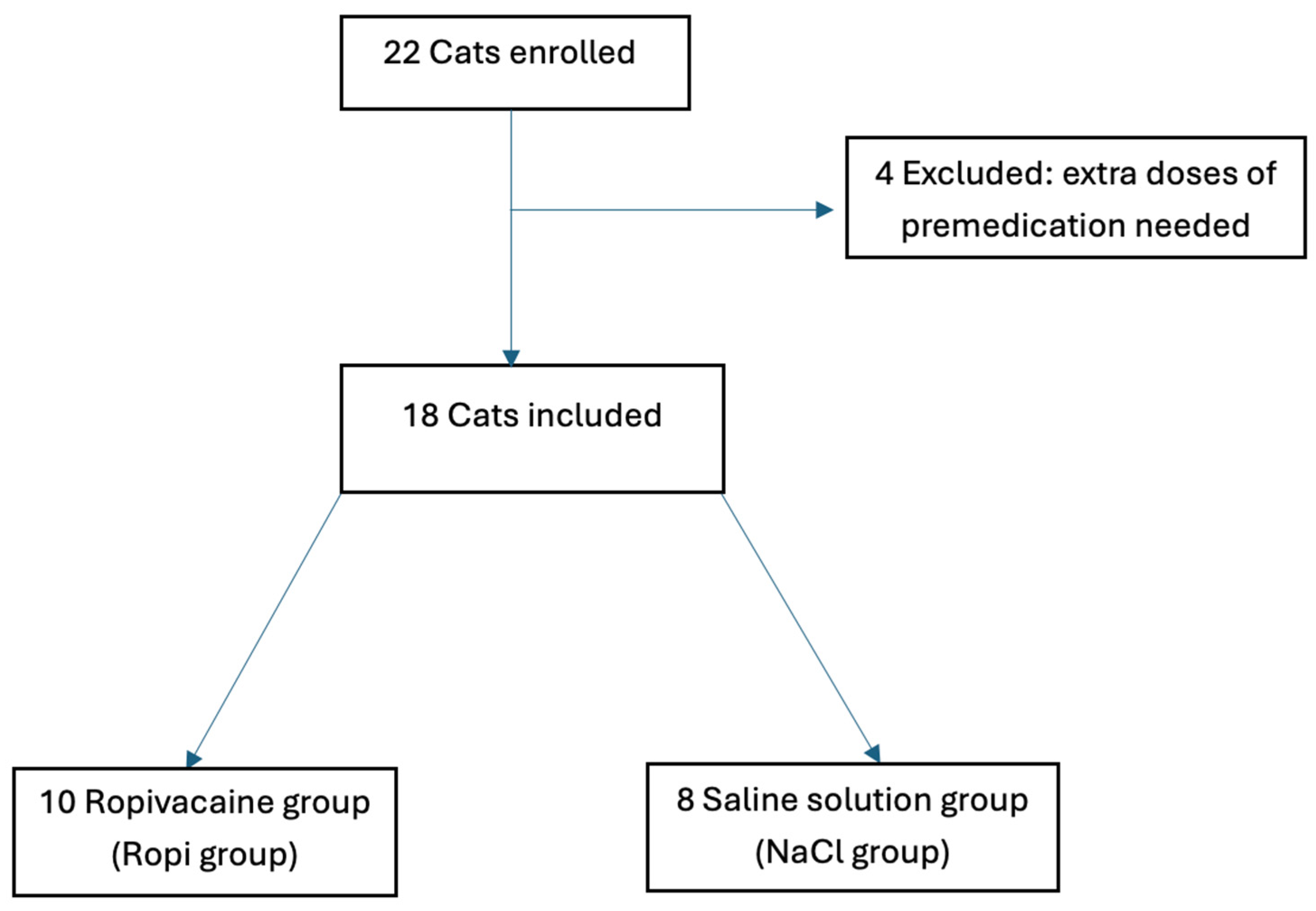 Vetsci 12 00524 g001