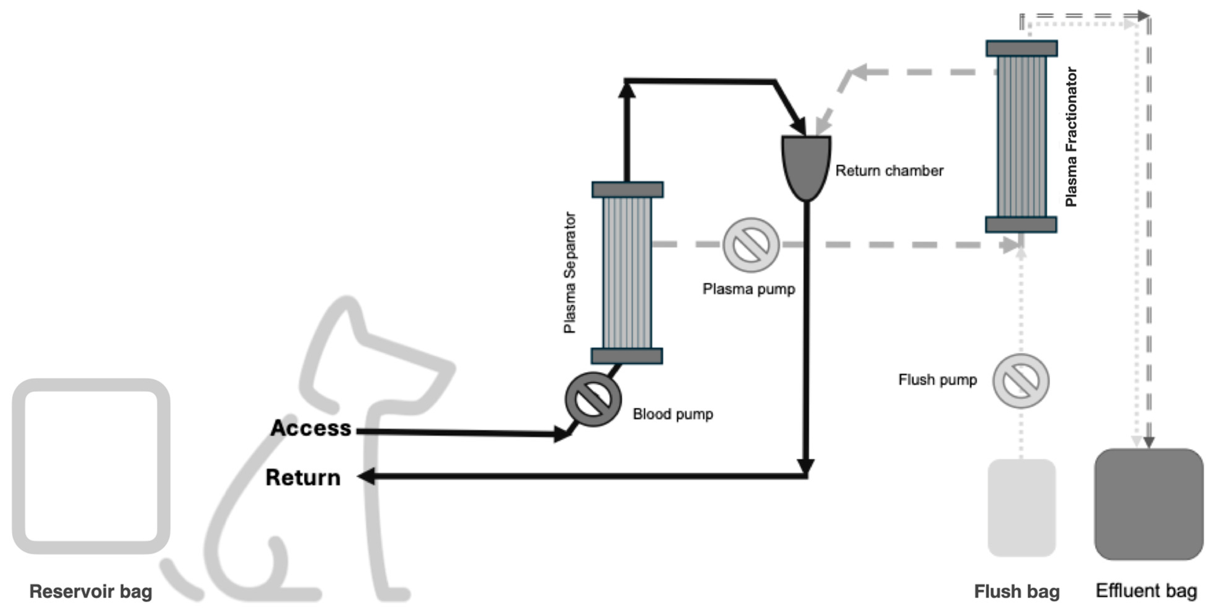 Vetsci 12 00528 g001