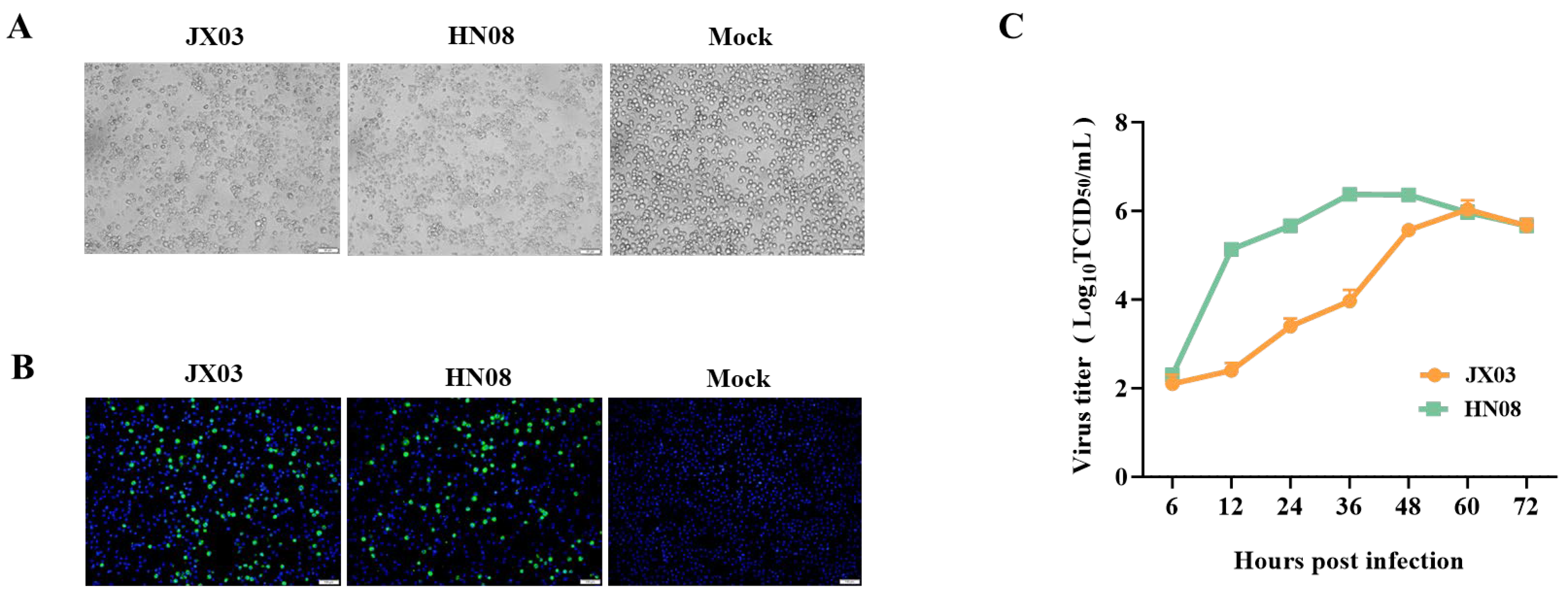 Vetsci 12 00530 g002