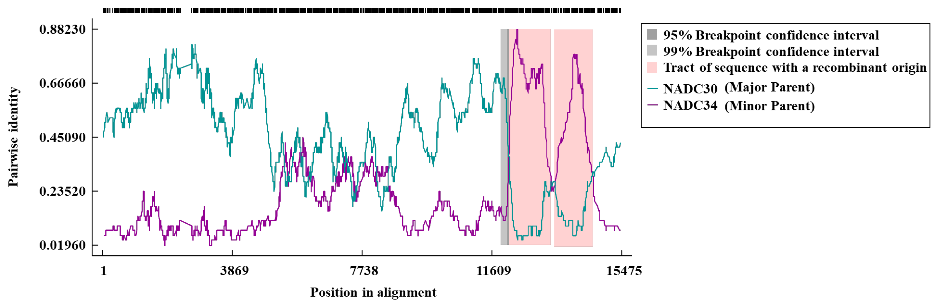 Vetsci 12 00530 g004