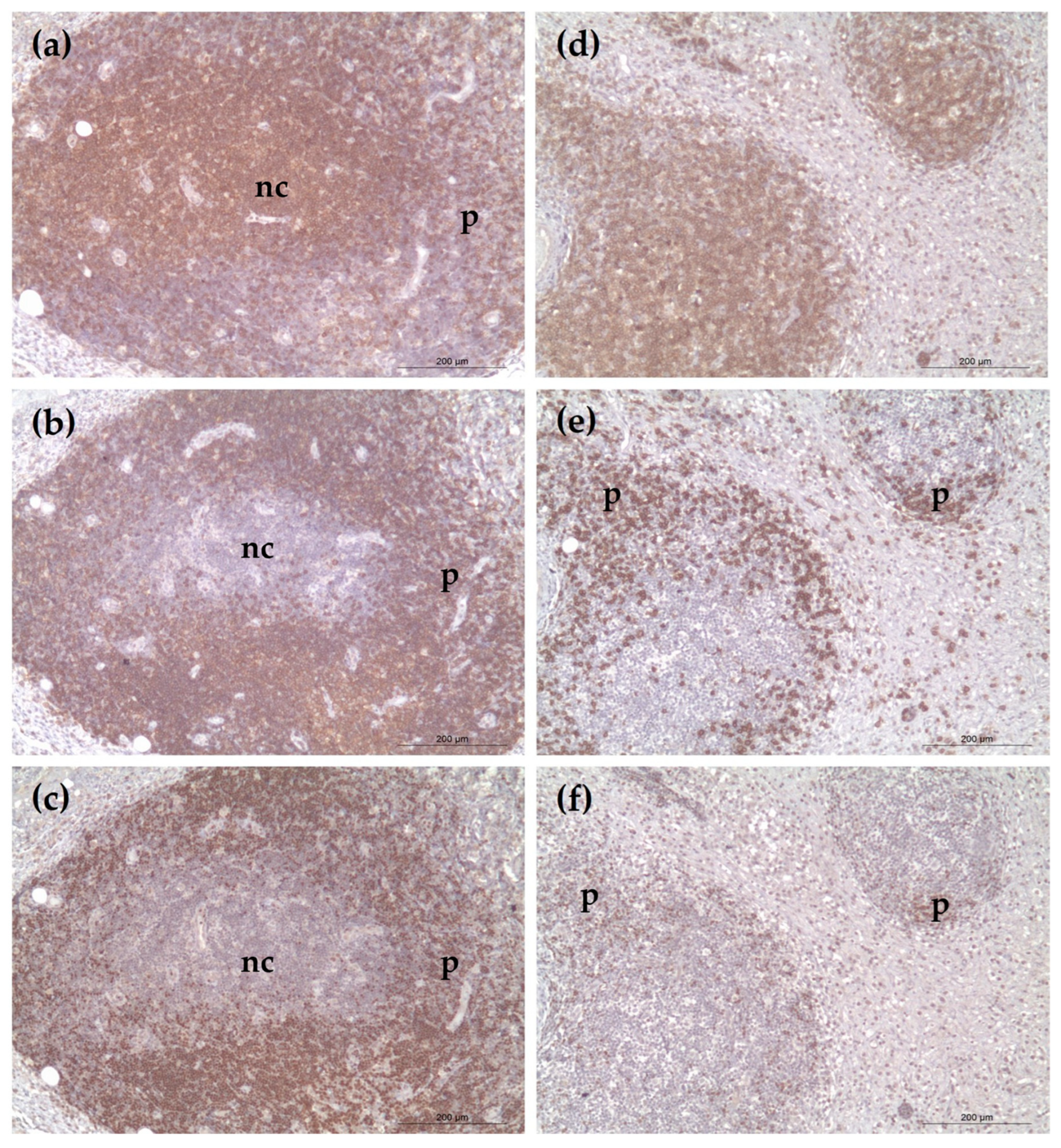 Vetsci 12 00532 g002