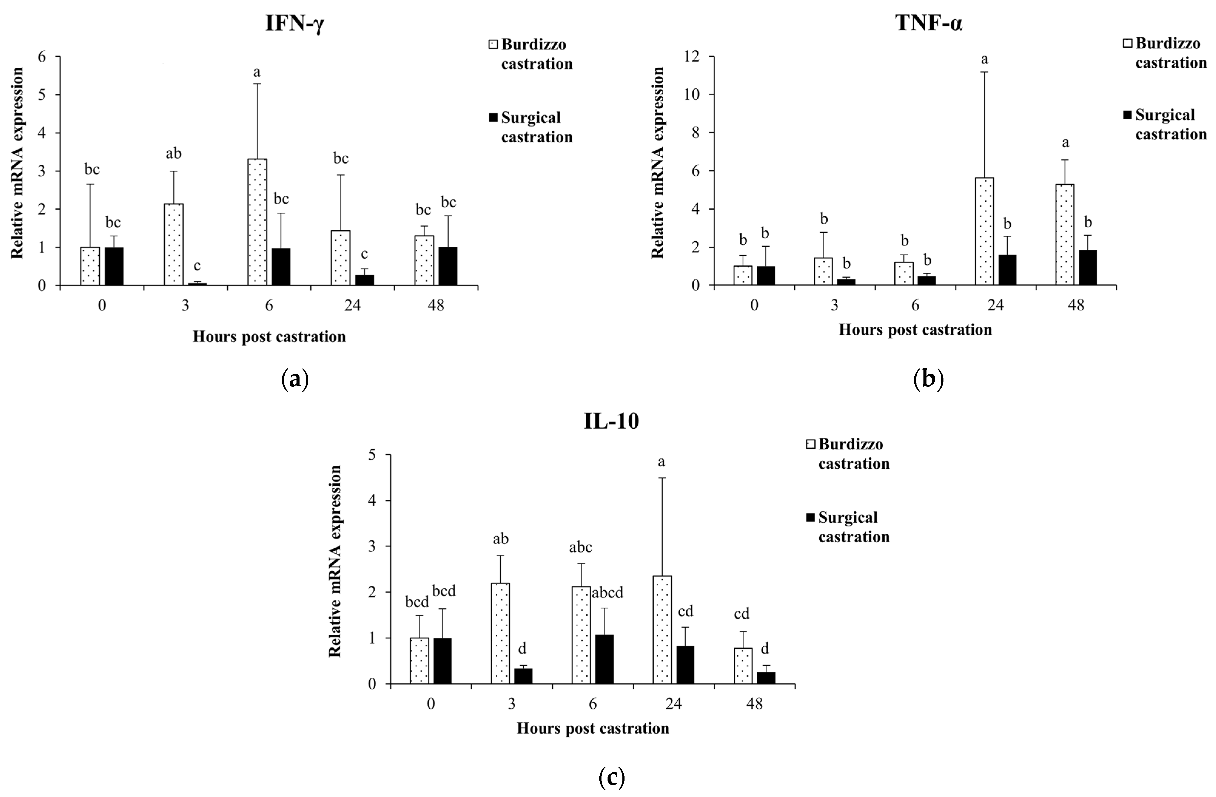 Vetsci 12 00537 g002