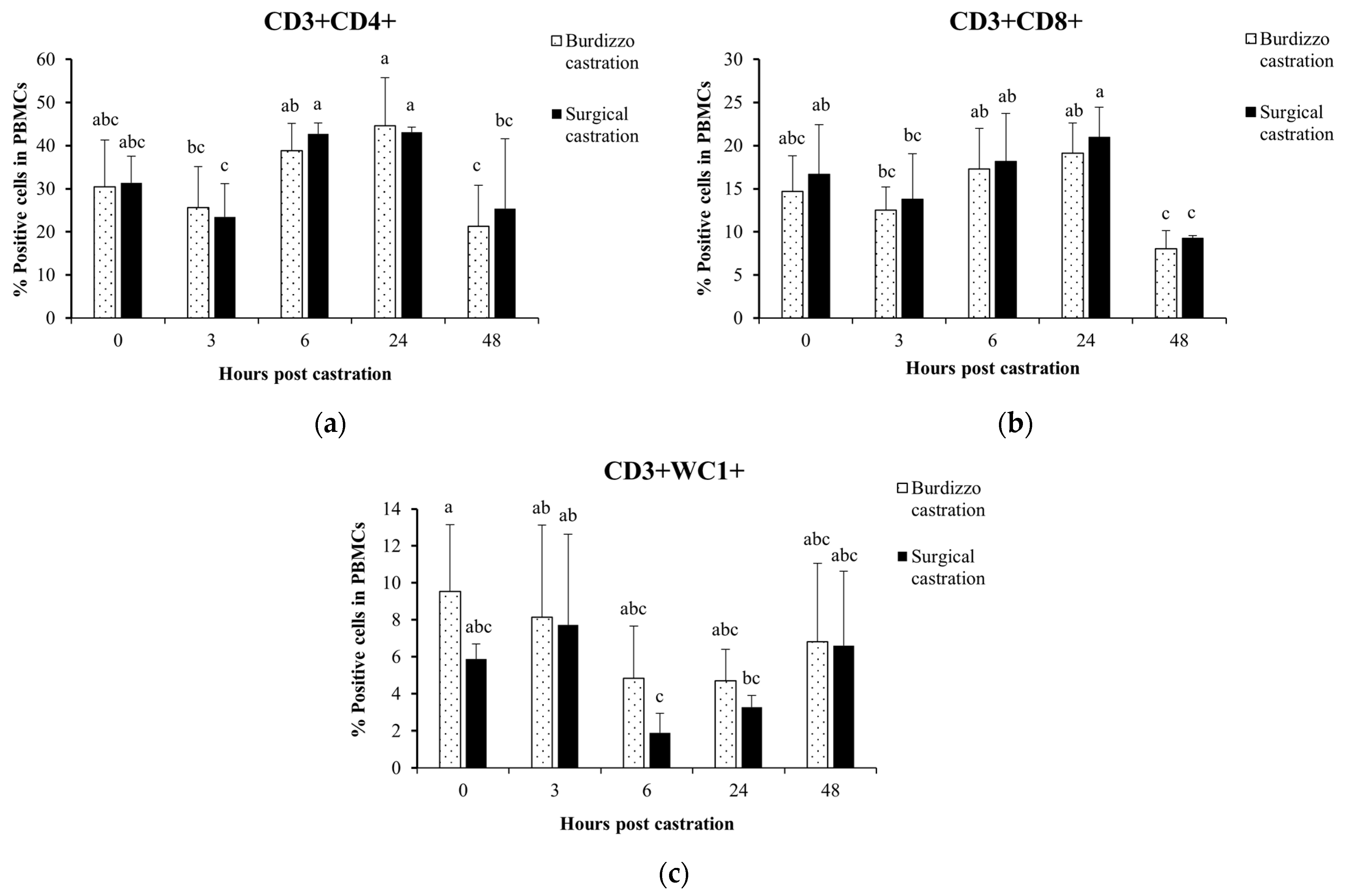 Vetsci 12 00537 g003