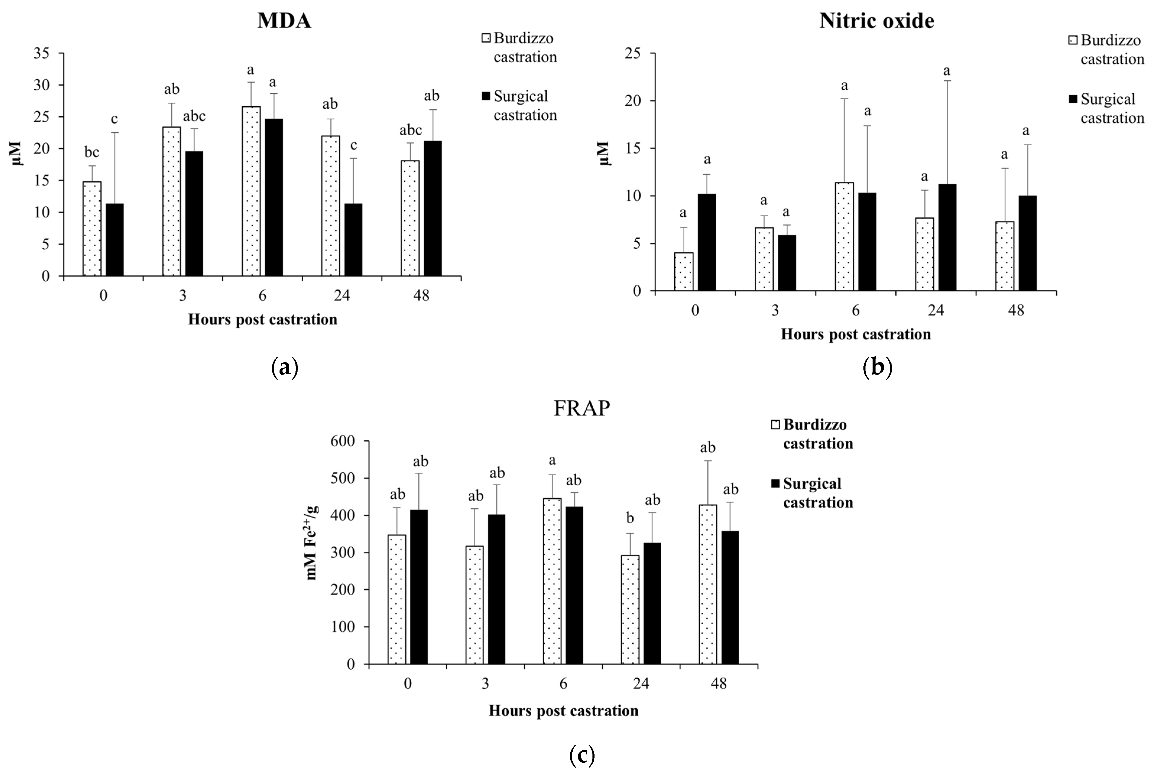 Vetsci 12 00537 g004