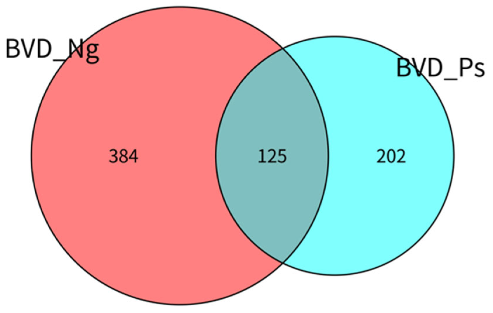 Vetsci 12 00538 g002