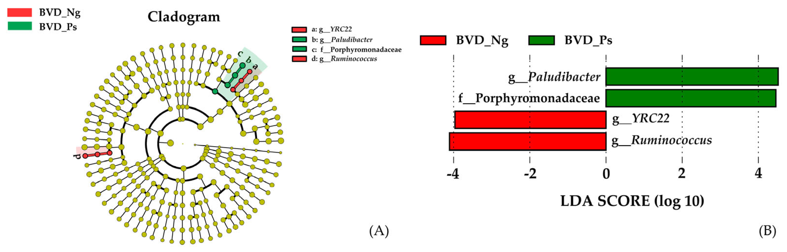 Vetsci 12 00538 g003