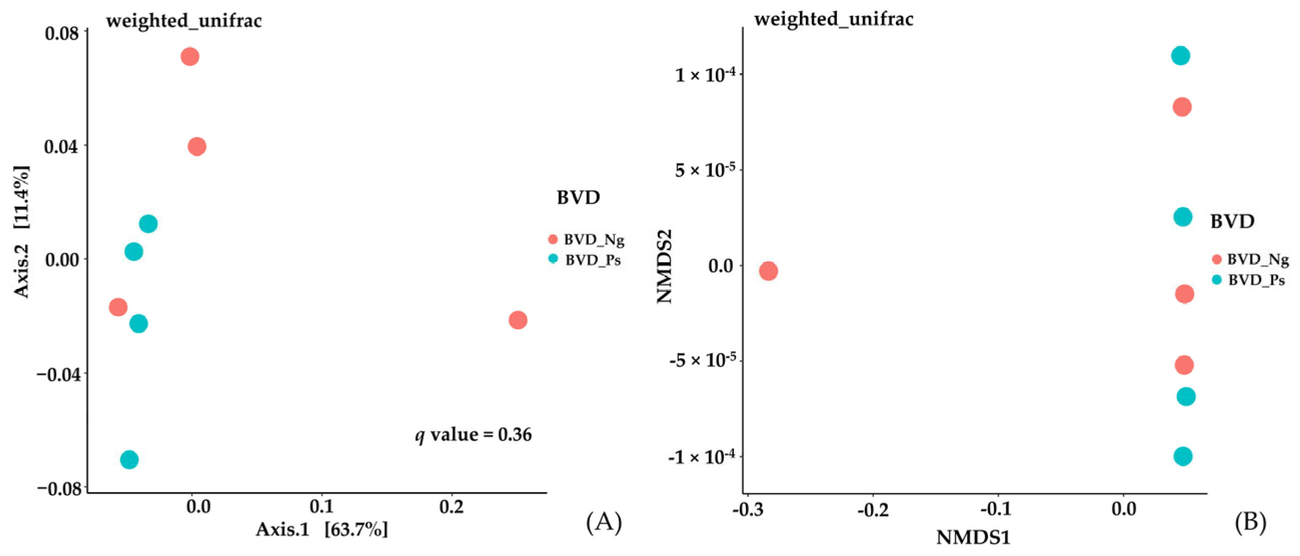 Vetsci 12 00538 g005