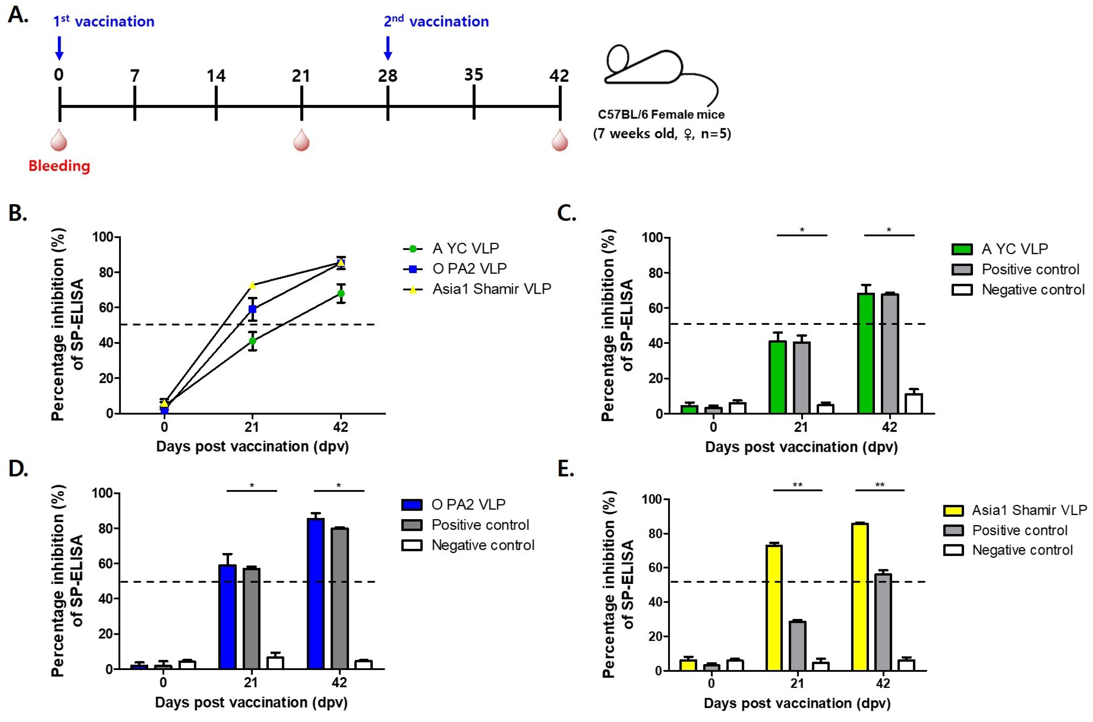 Vetsci 12 00539 g004