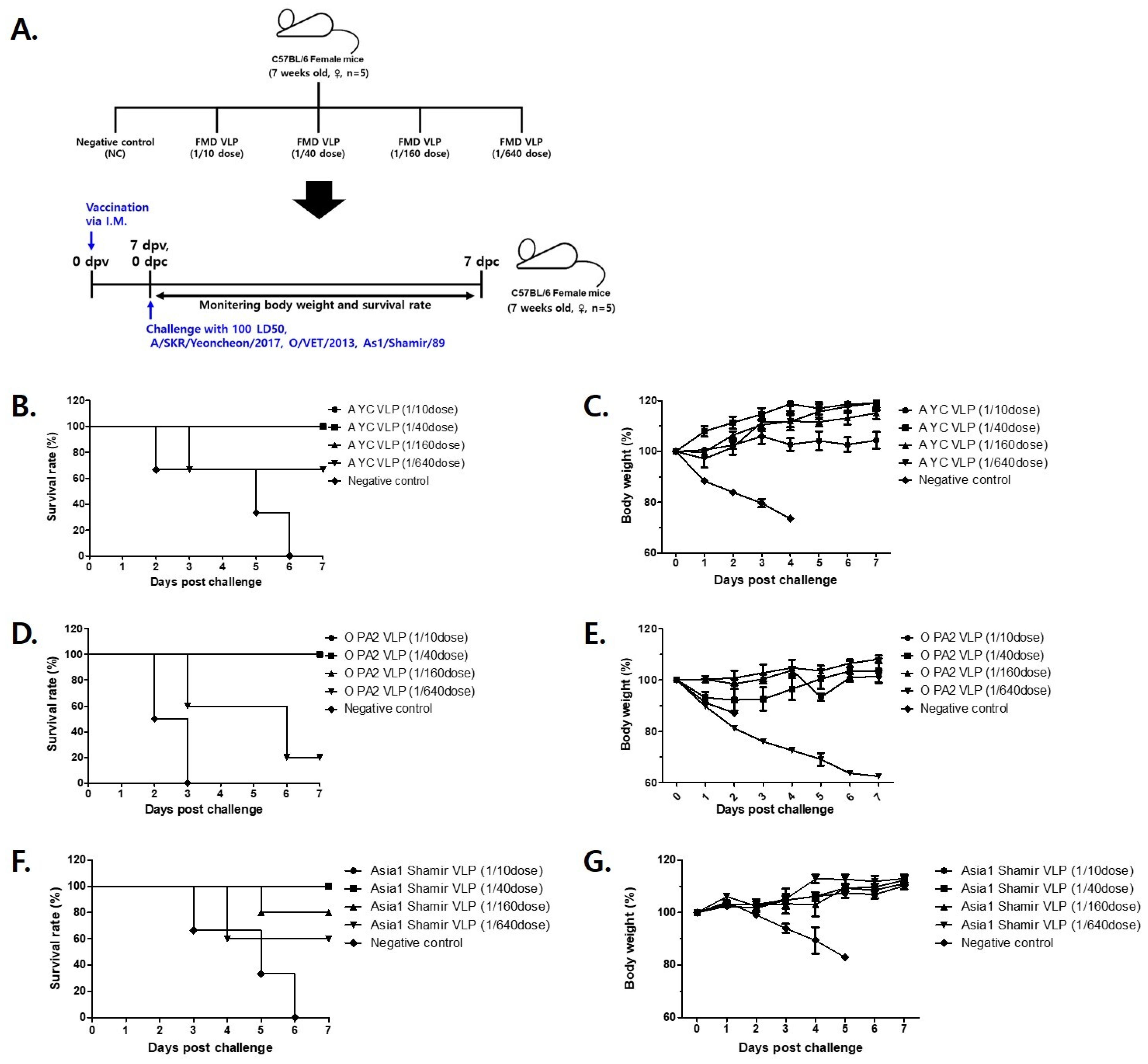 Vetsci 12 00539 g006