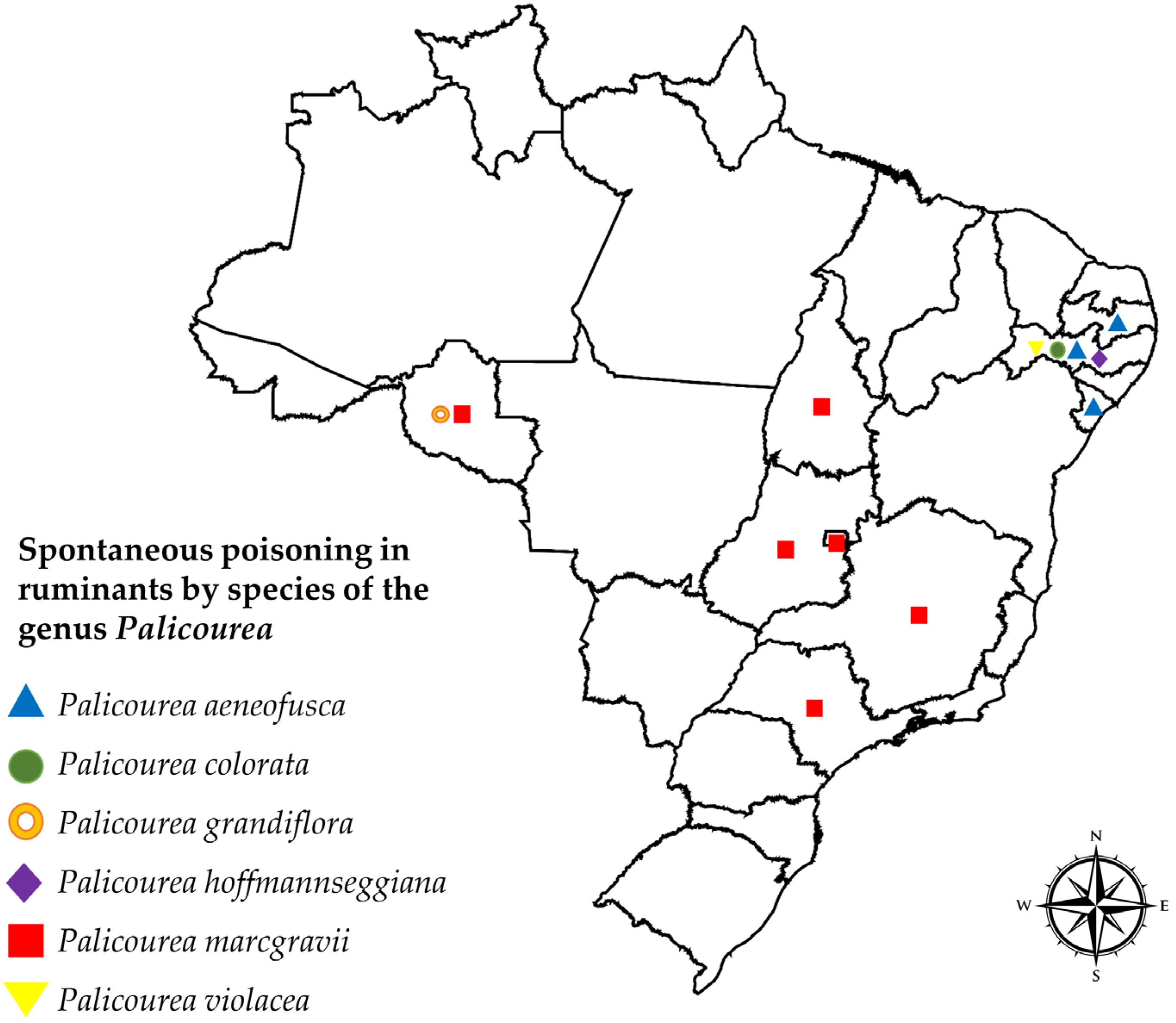 Vetsci 12 00540 g002