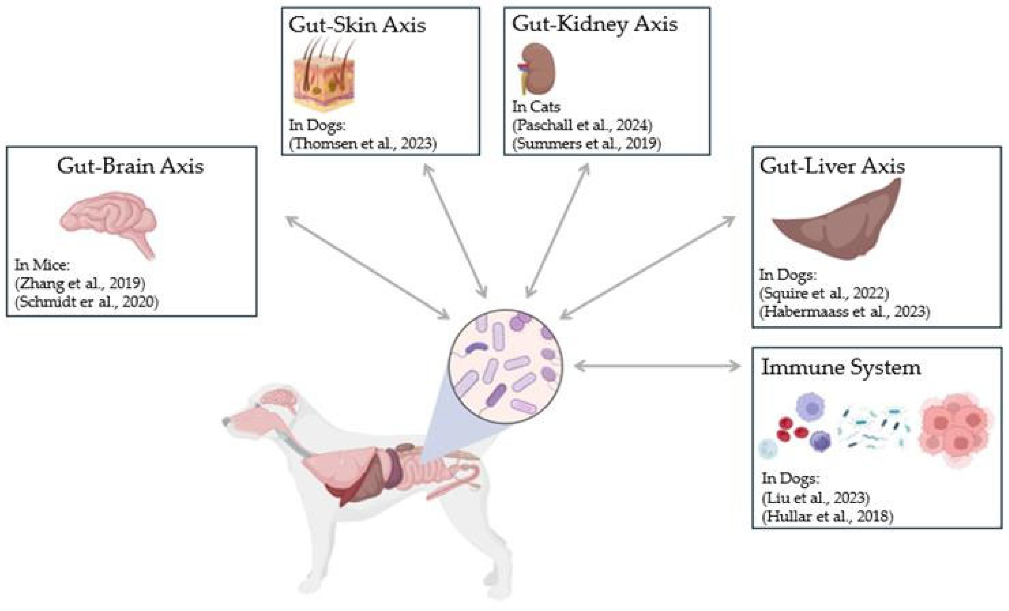 Vetsci 12 00541 g001