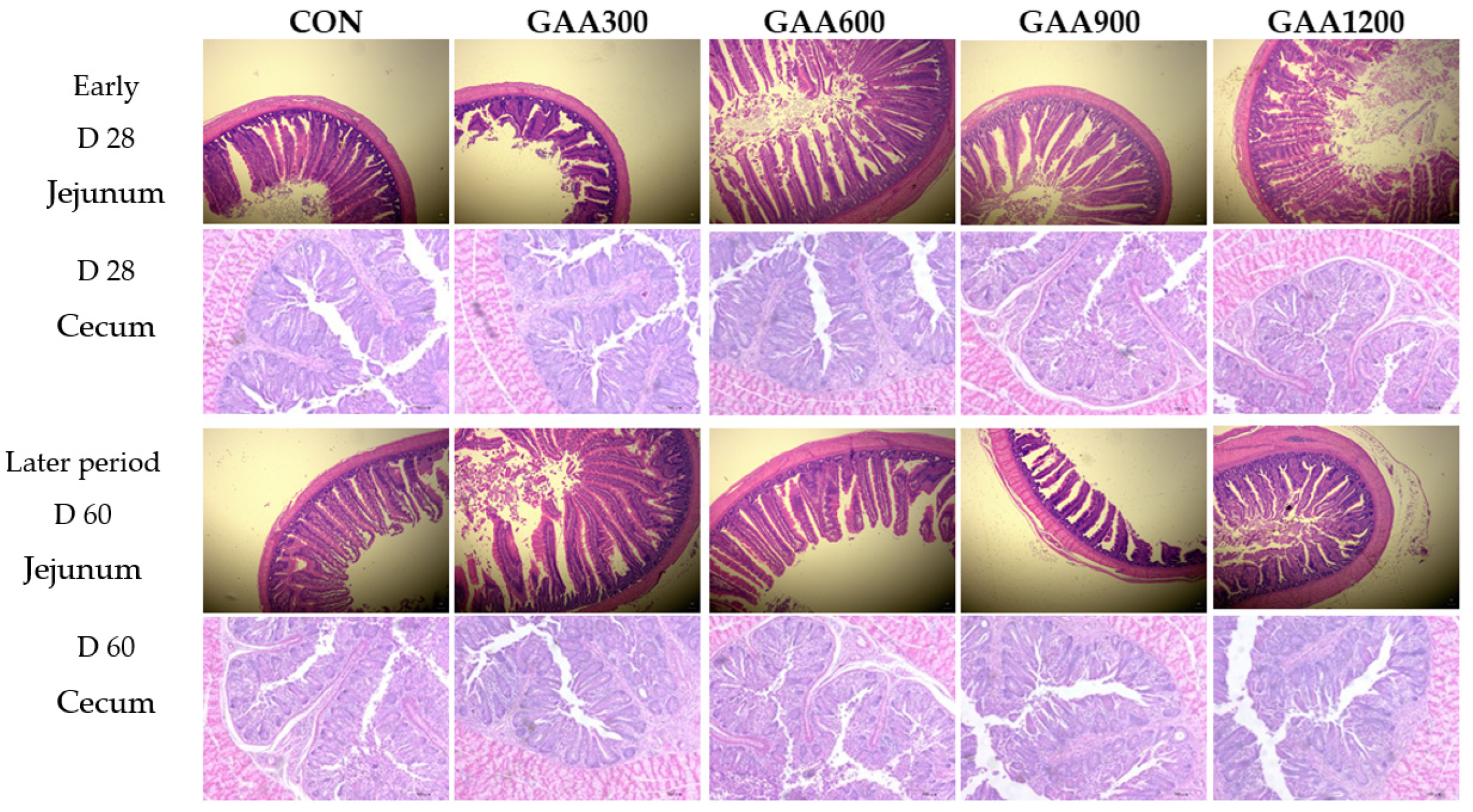 Vetsci 12 00551 g004