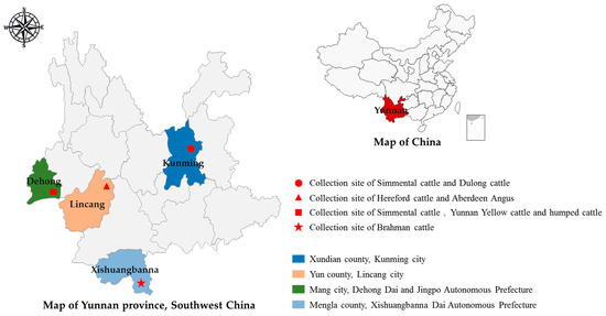 Investigation of Infection of Enterocytozoon bieneusi and