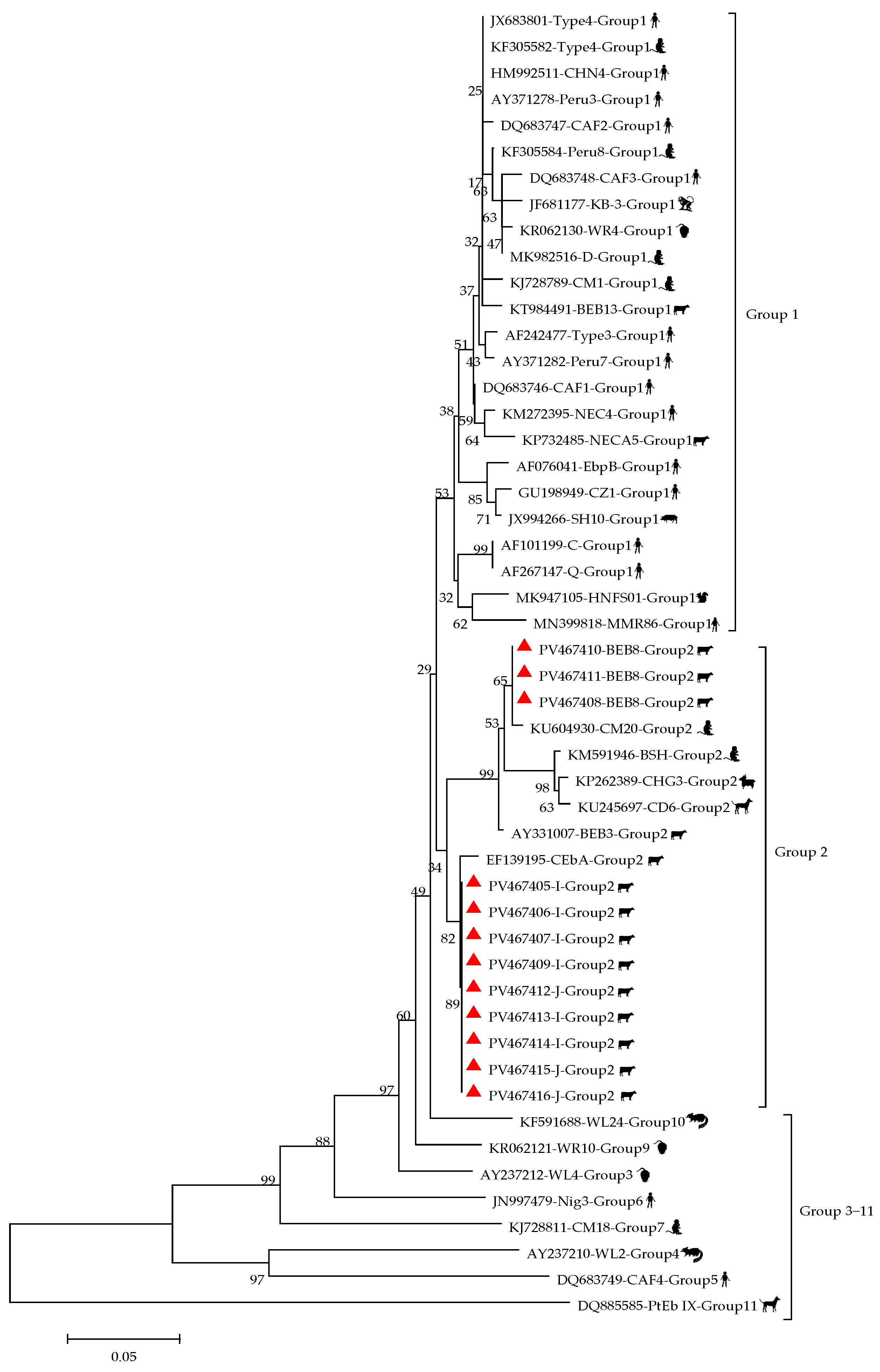 Vetsci 12 00552 g002