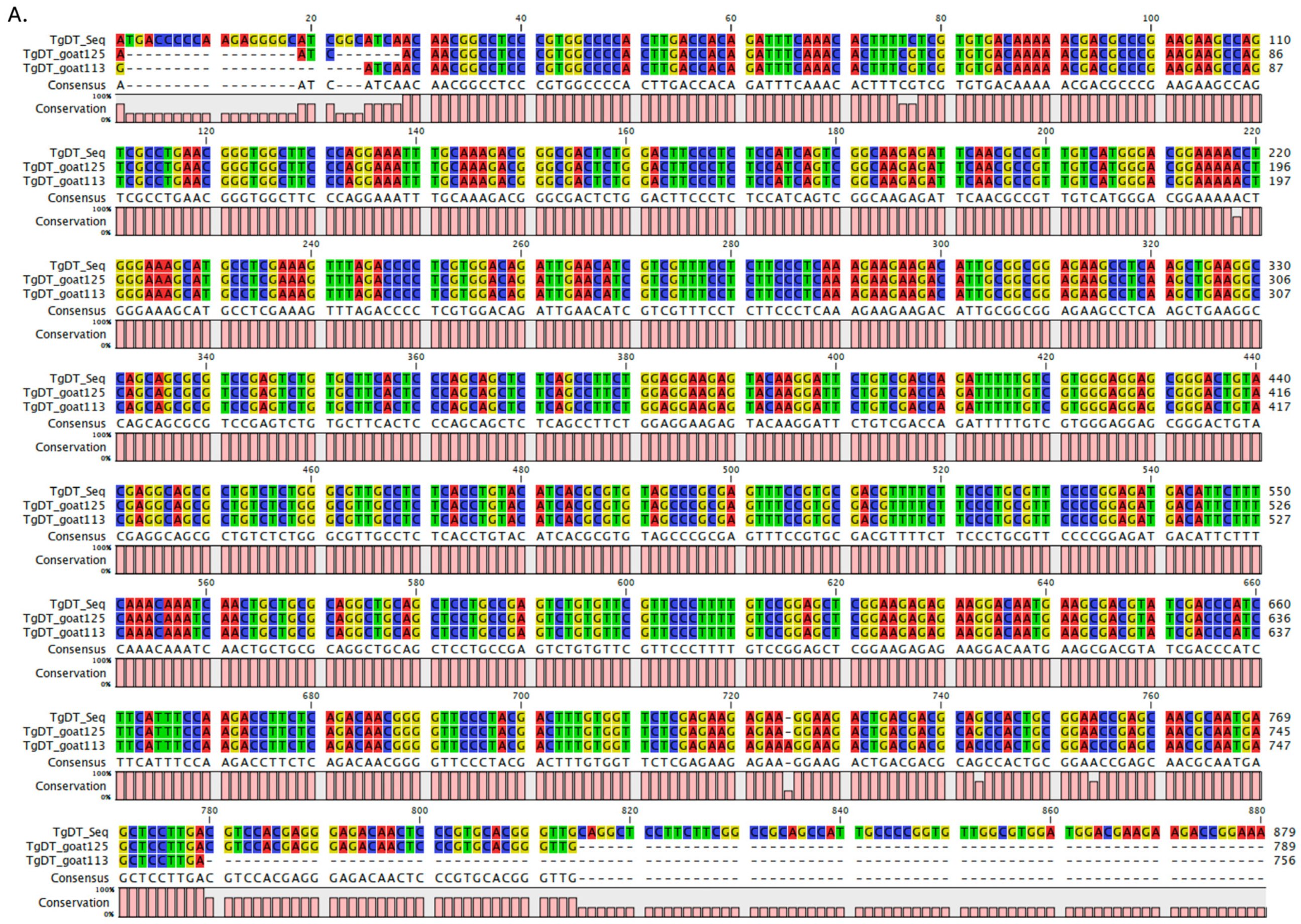 Vetsci 12 00555 g003a Vetsci 12 00555 g003a