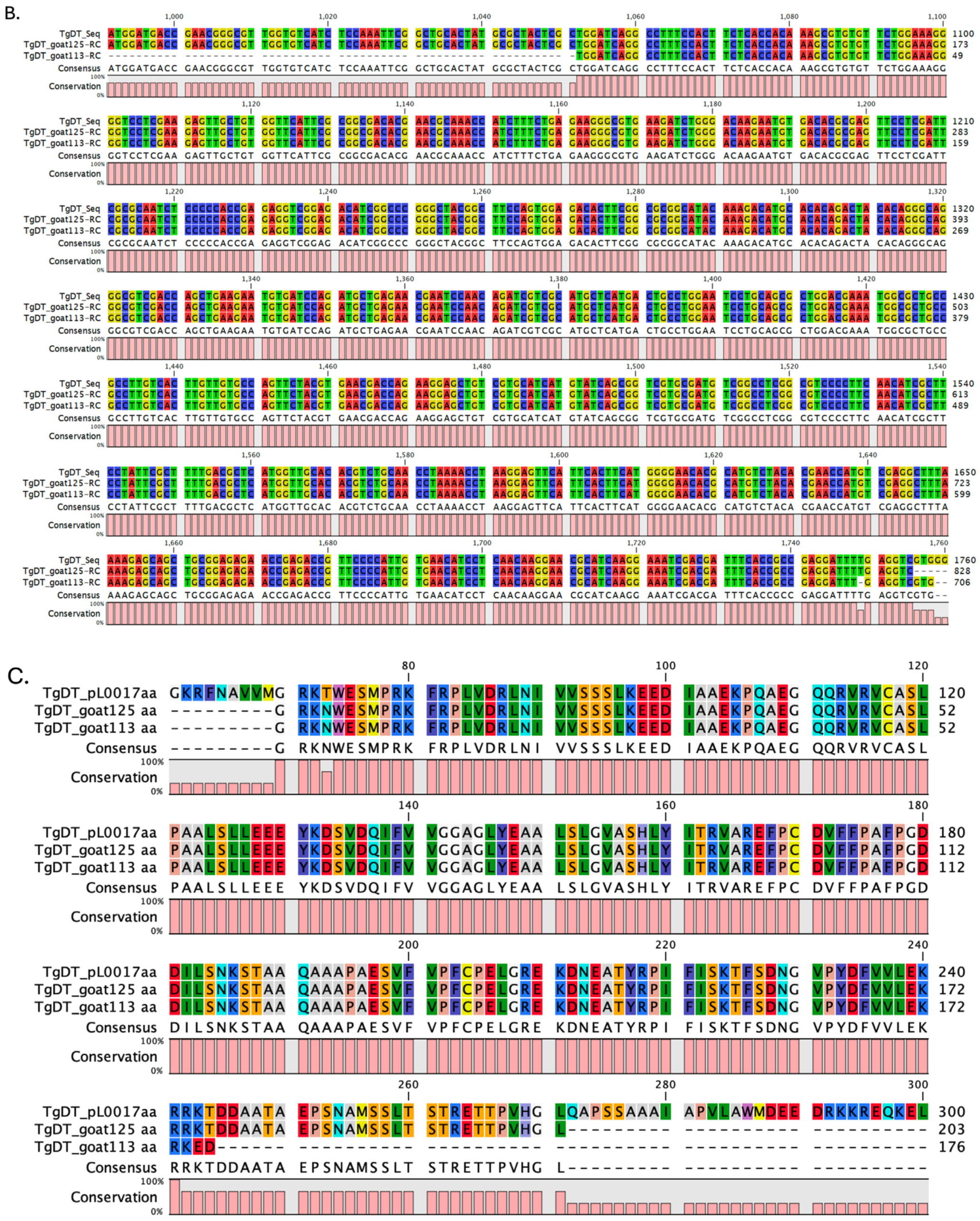 Vetsci 12 00555 g003b Vetsci 12 00555 g003b