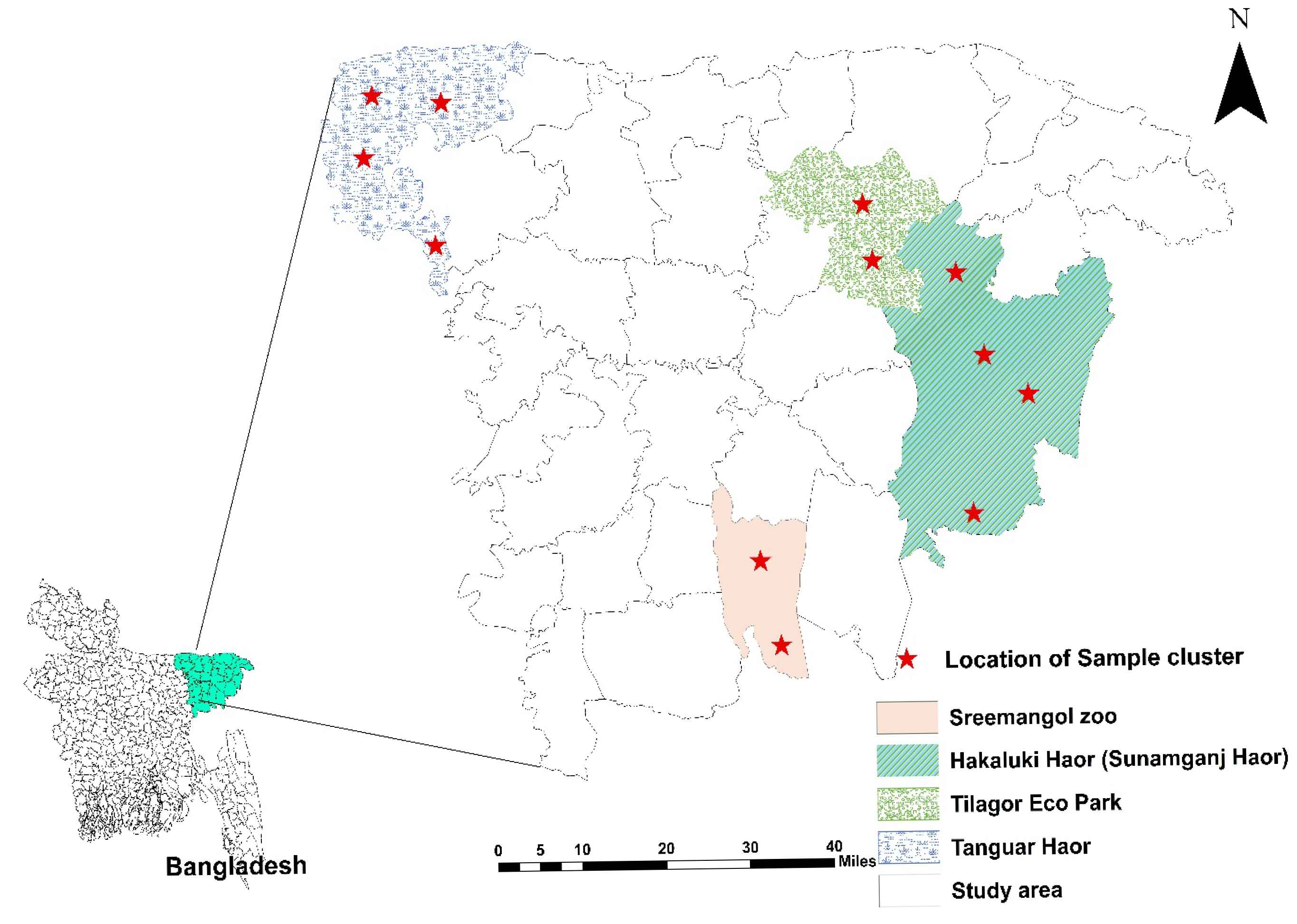 Vetsci 12 00556 g001