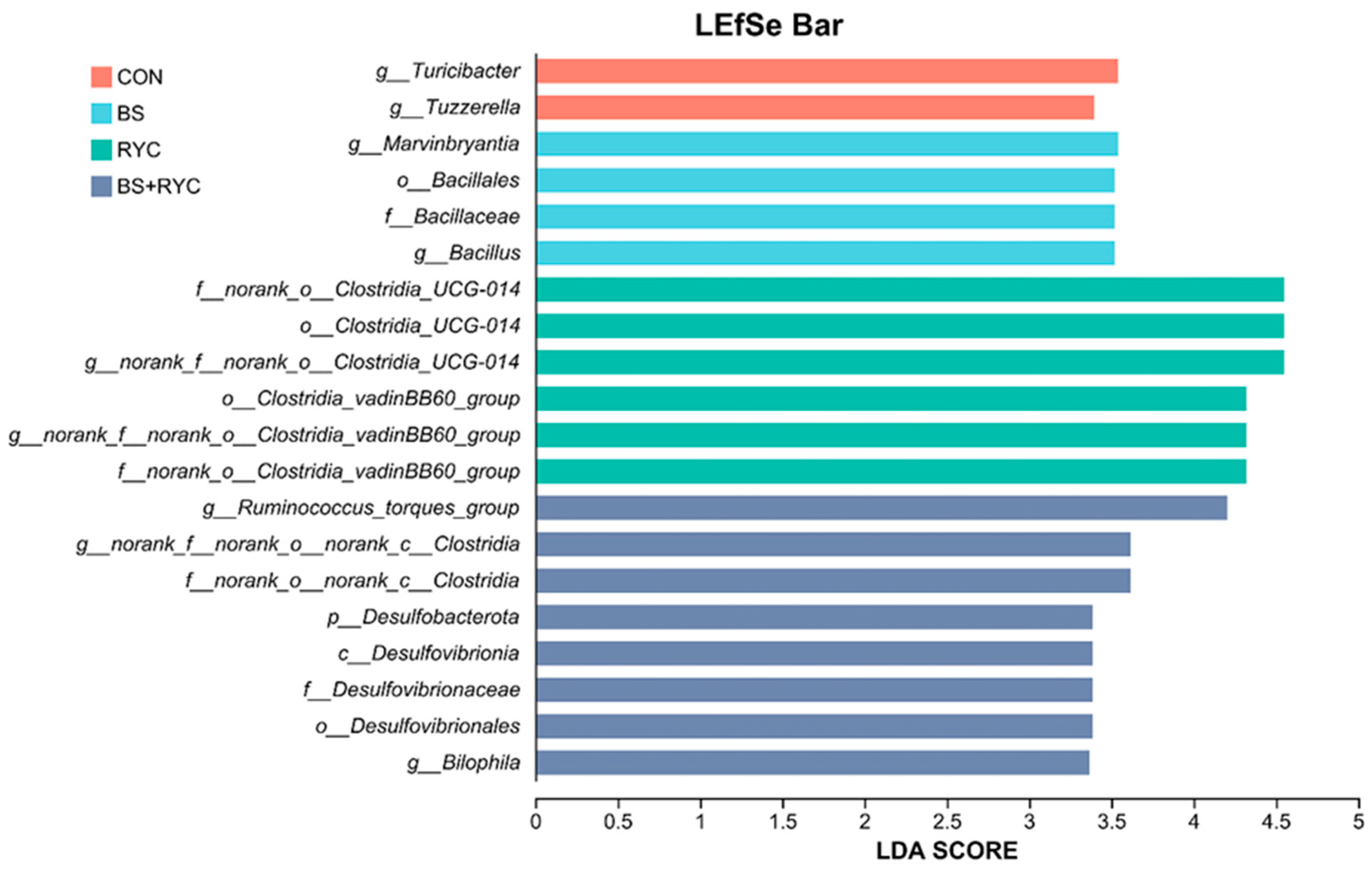 Vetsci 12 00558 g006