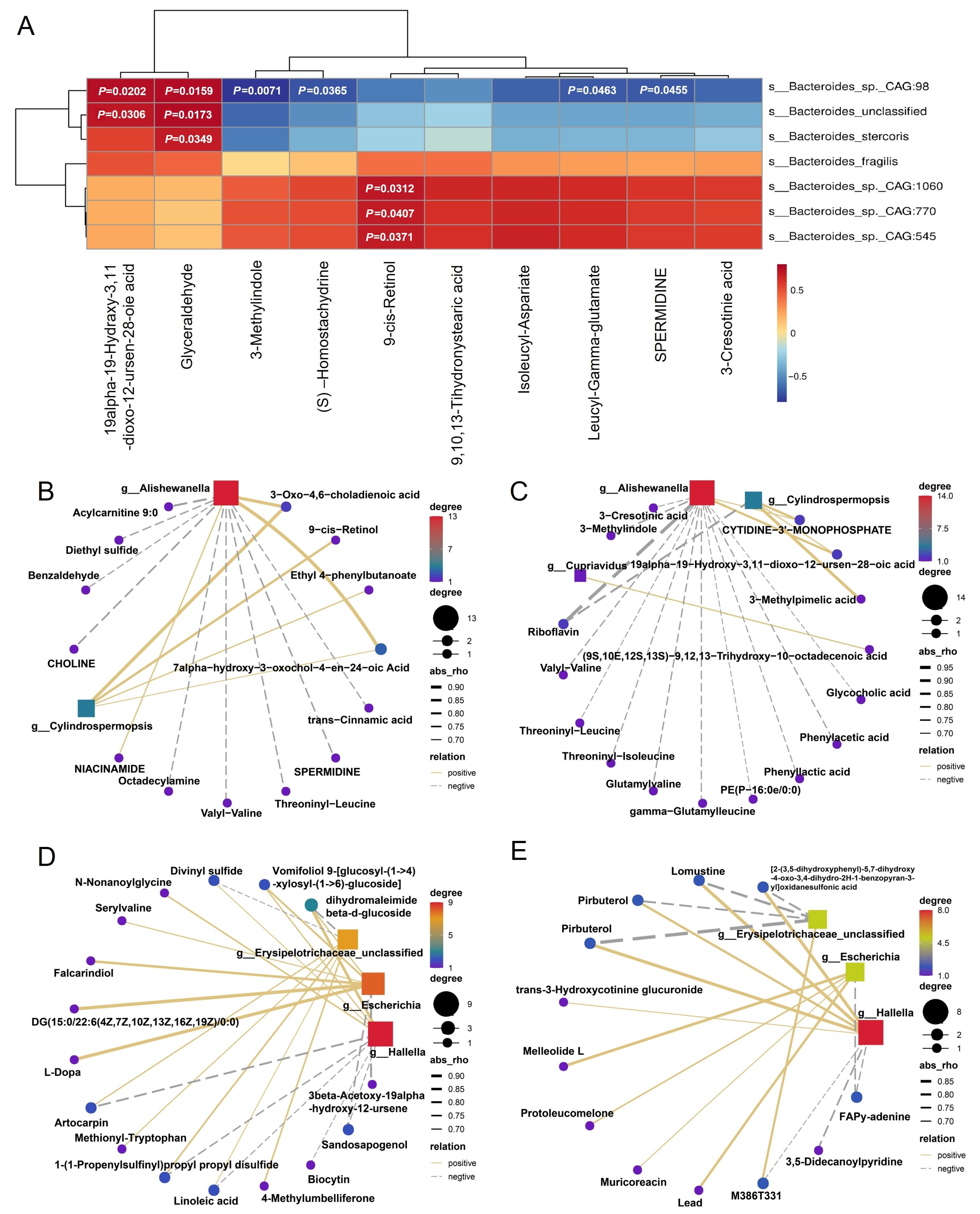 Vetsci 12 00560 g005