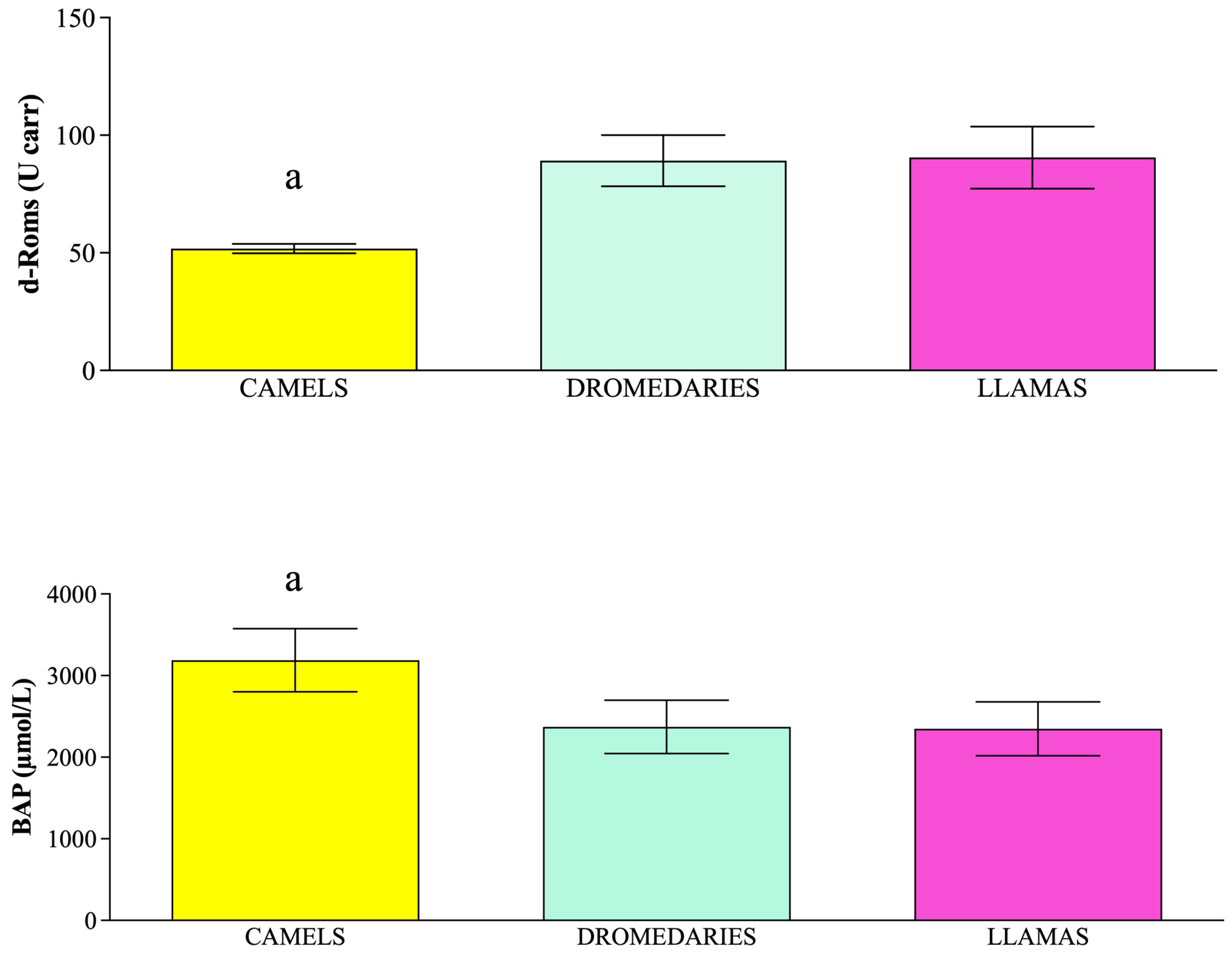 Vetsci 12 00570 g002