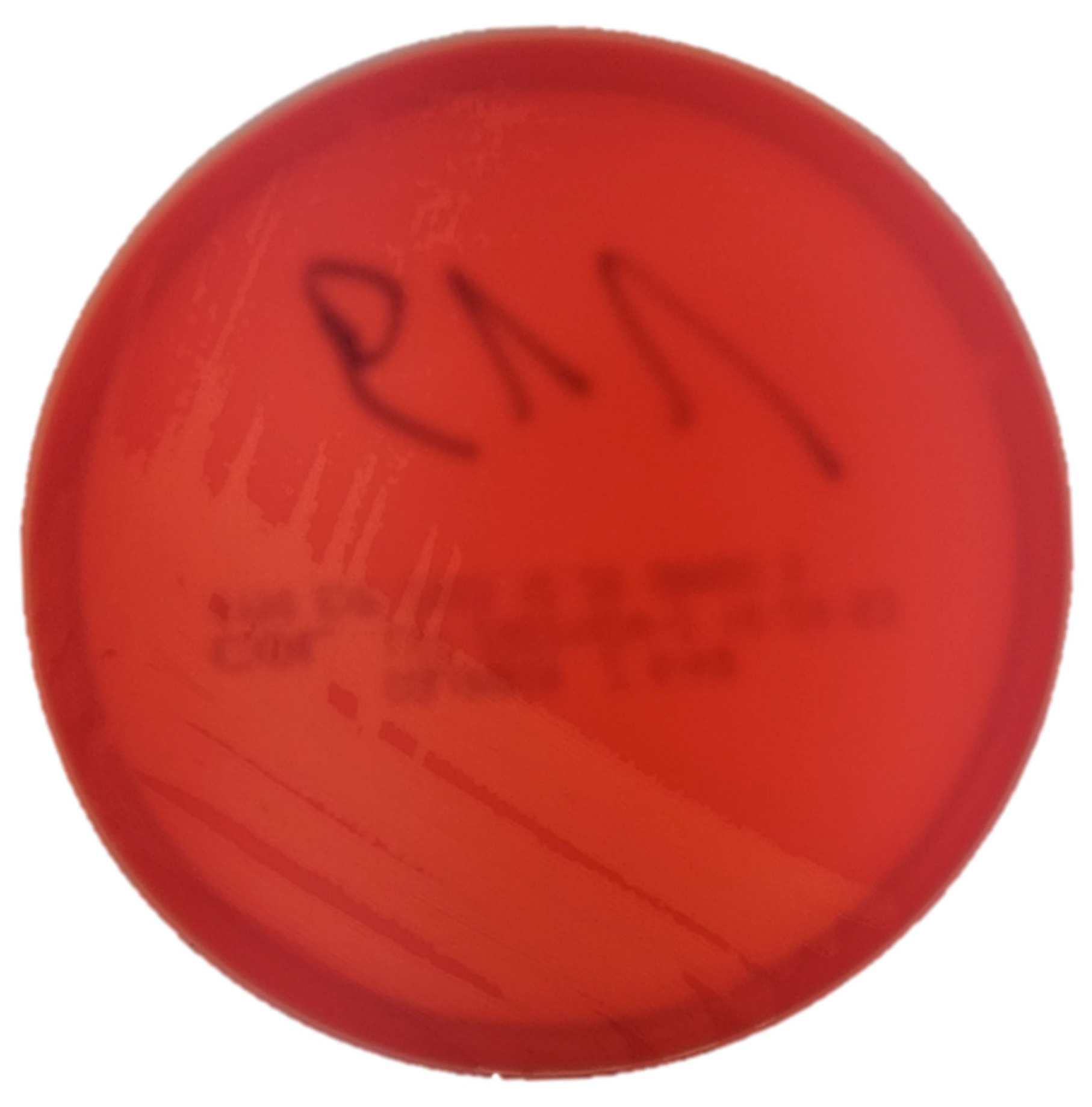 Vetsci 12 00573 g001