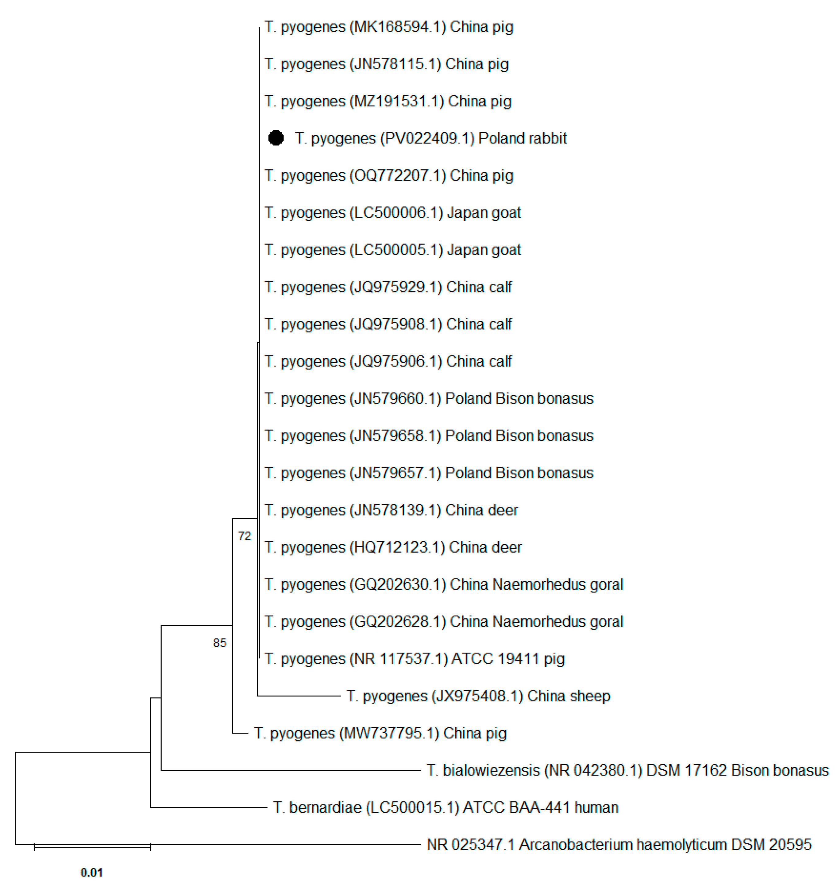 Vetsci 12 00573 g002