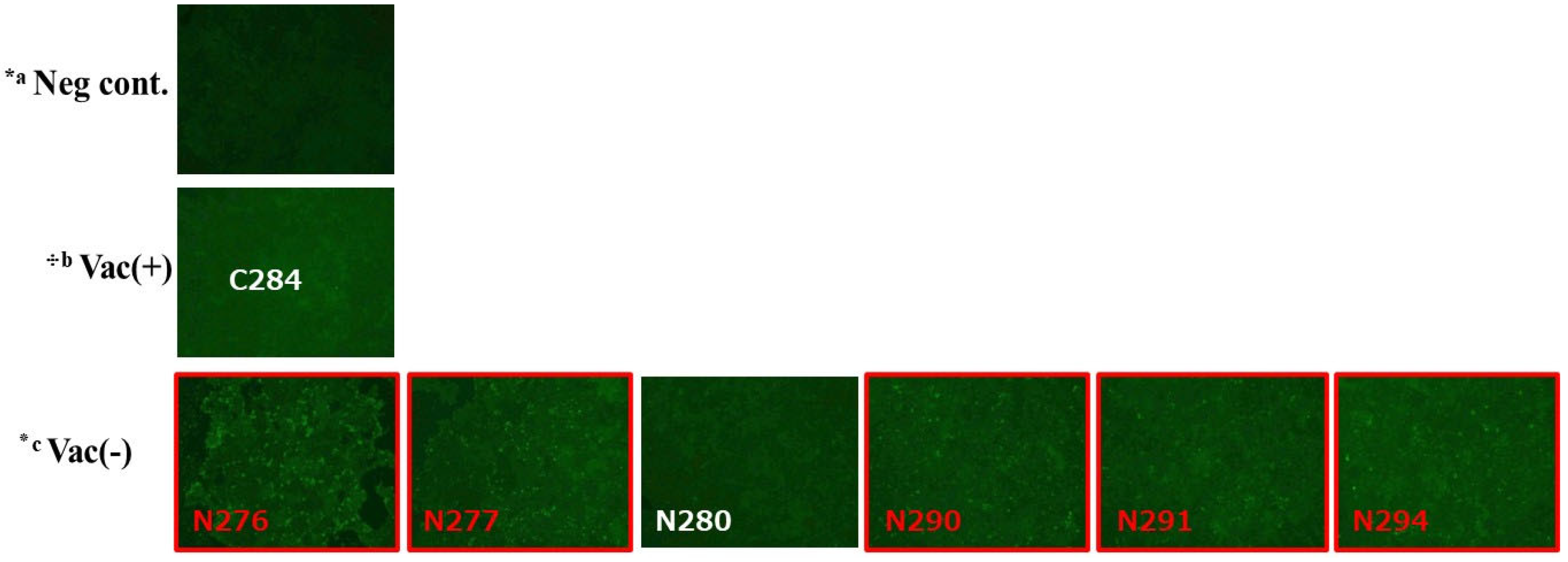 Vetsci 12 00575 g004