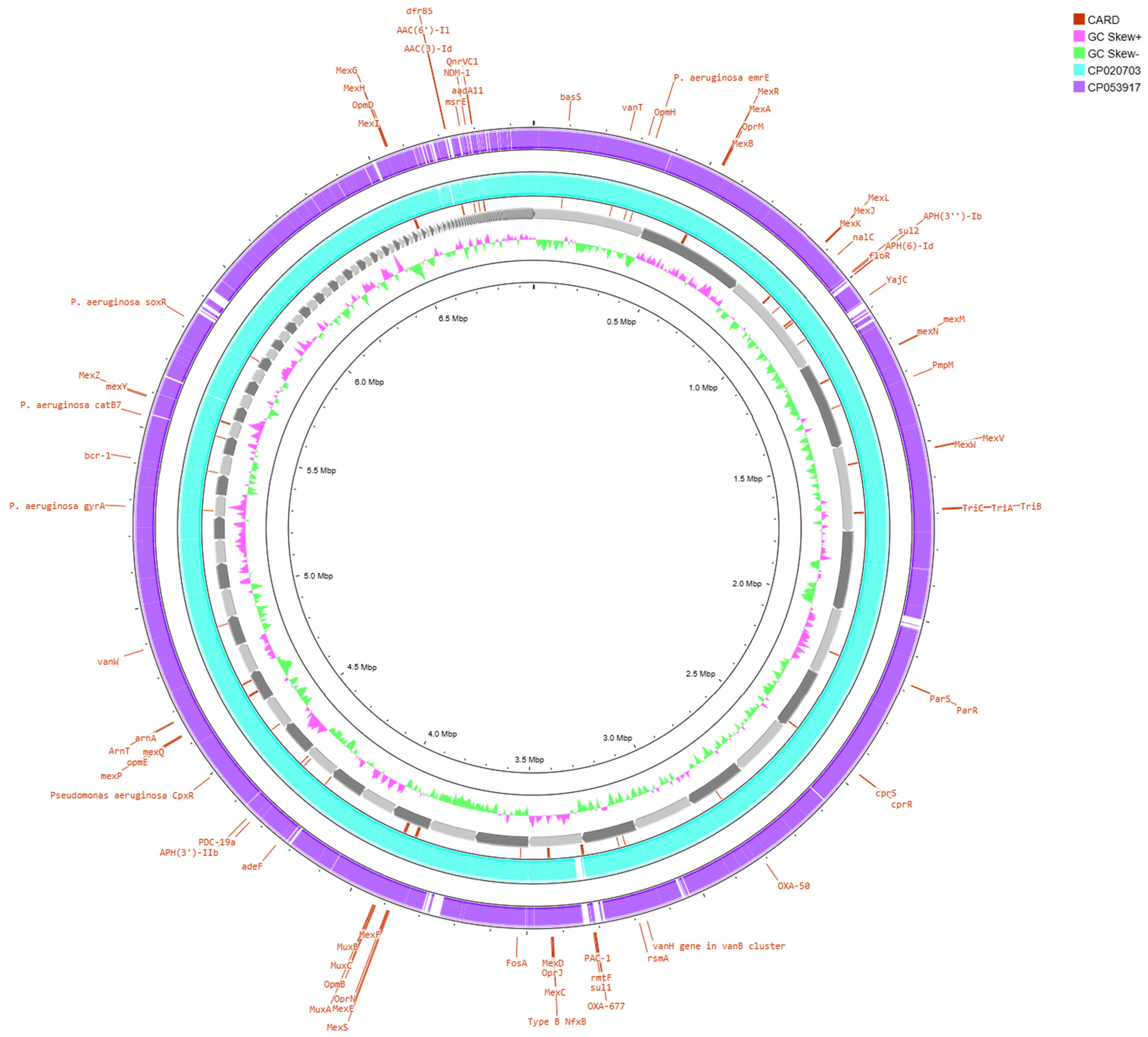 Vetsci 12 00576 g002