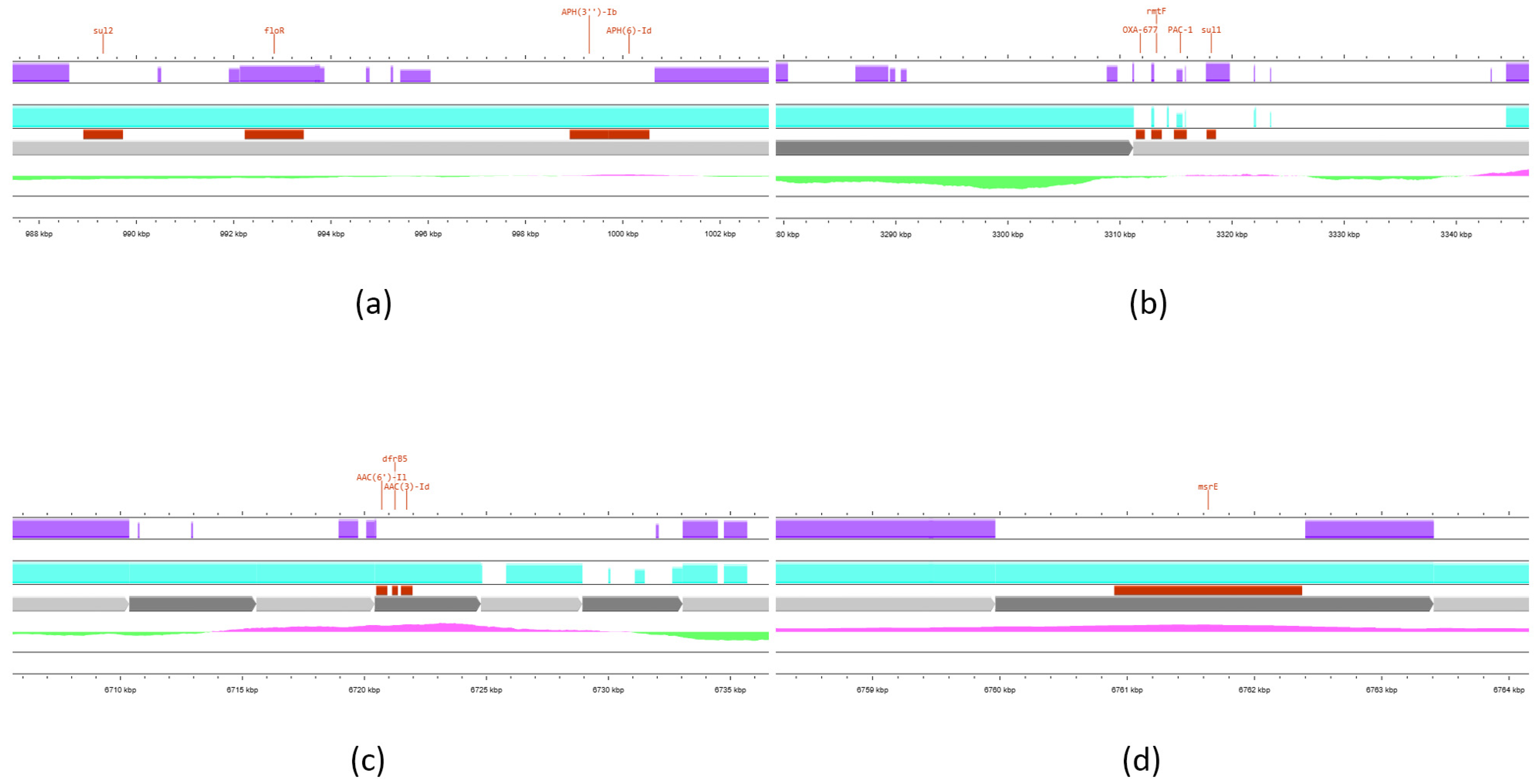 Vetsci 12 00576 g003