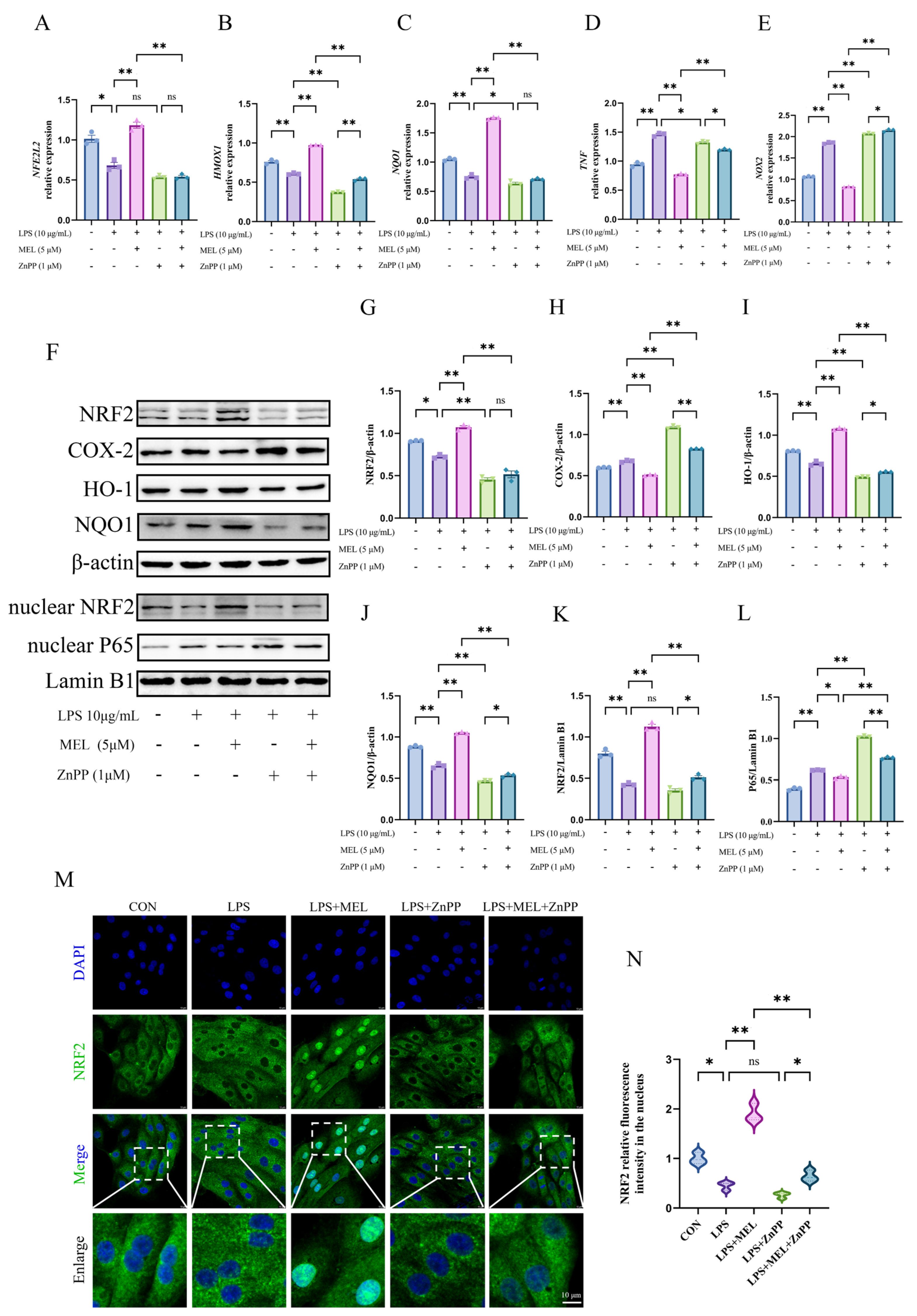 Vetsci 12 00579 g004