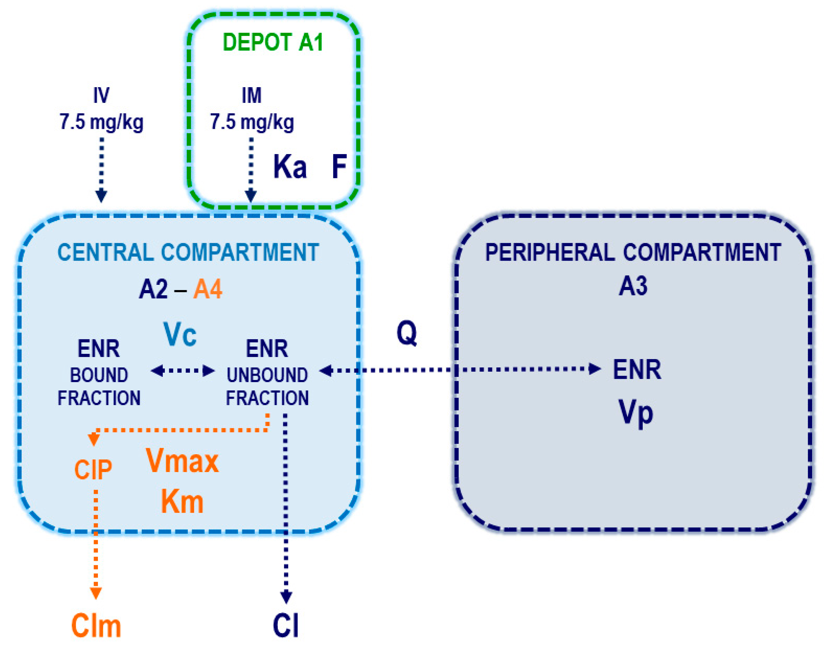 Vetsci 12 00588 g001
