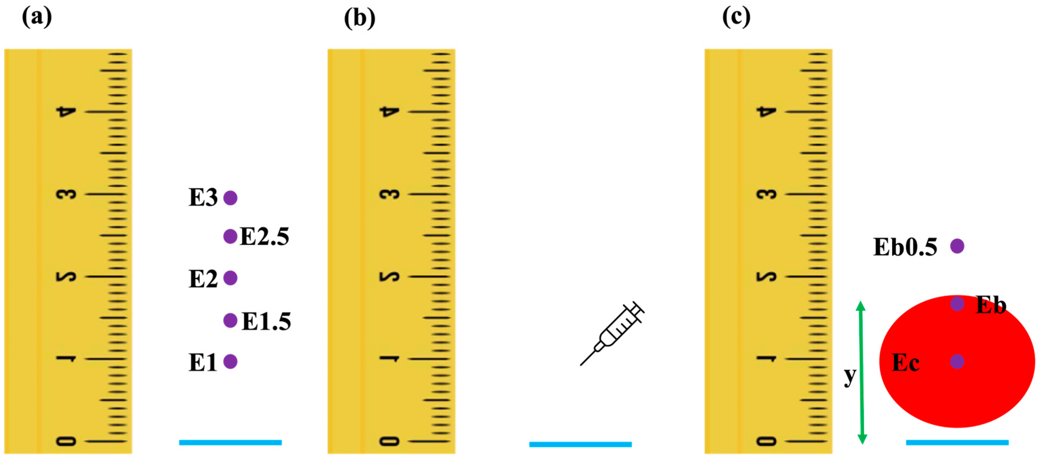 Vetsci 12 00590 g001 Vetsci 12 00590 g001