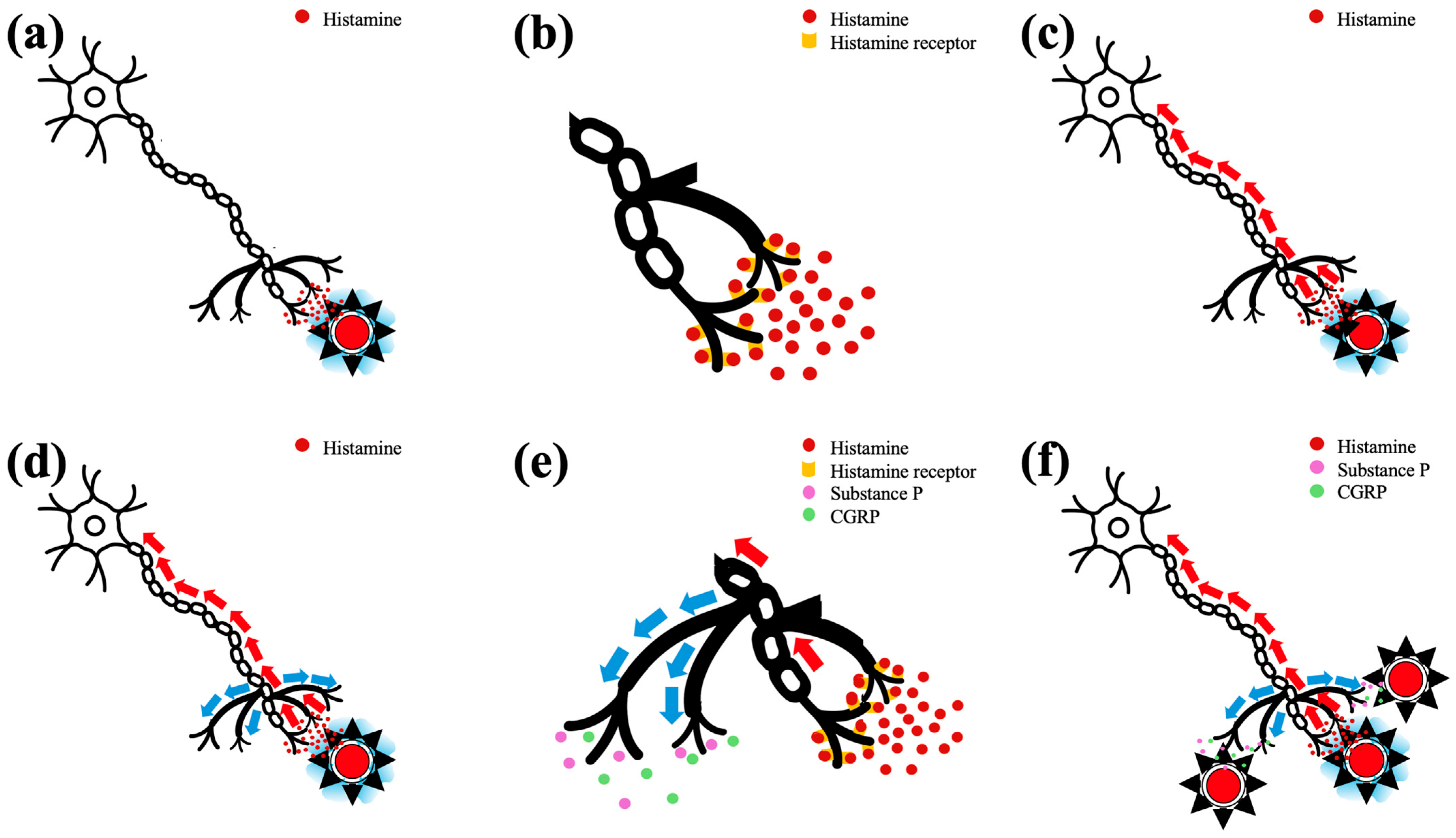Vetsci 12 00590 g002 Vetsci 12 00590 g002