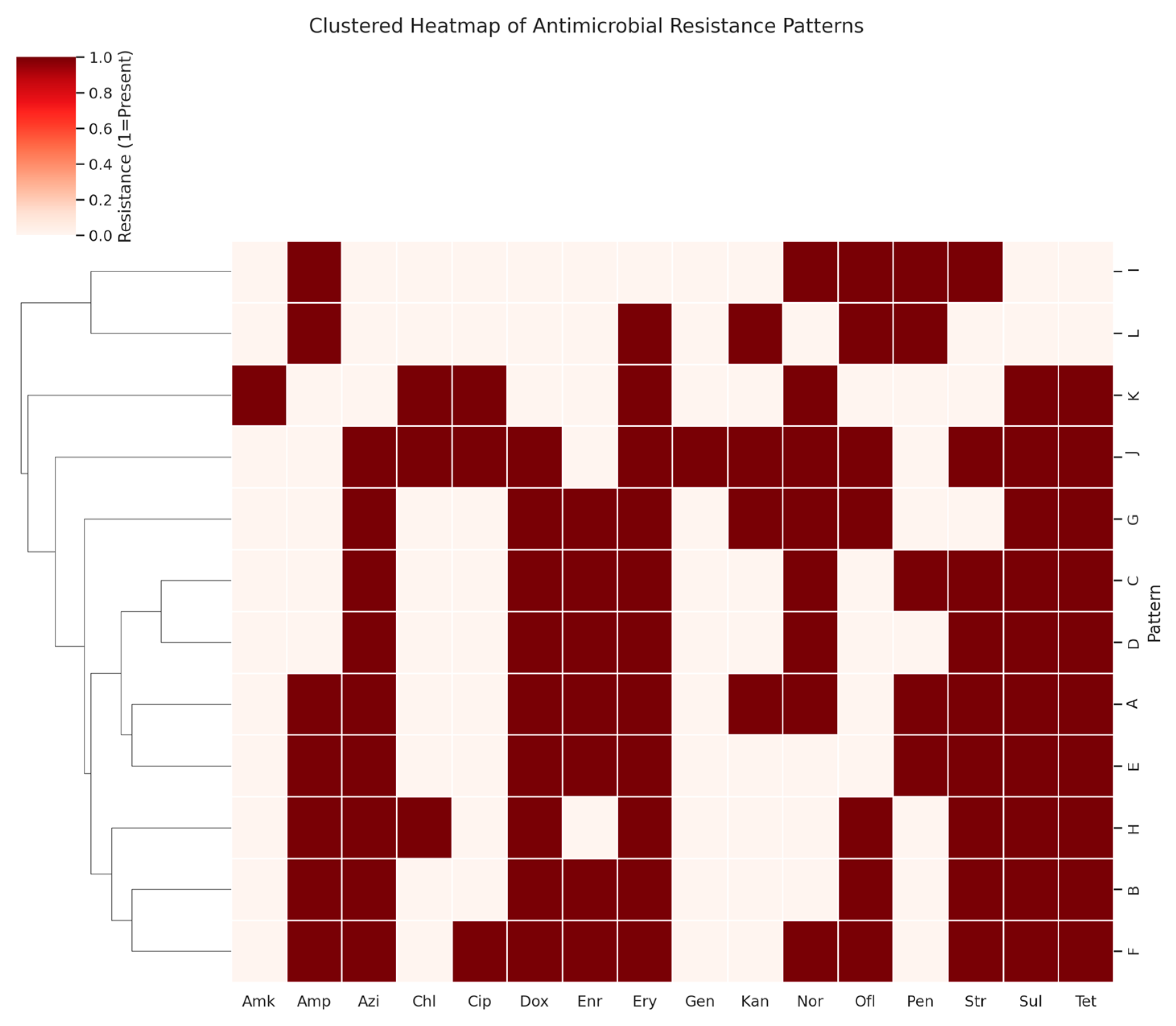 Vetsci 12 00592 g003