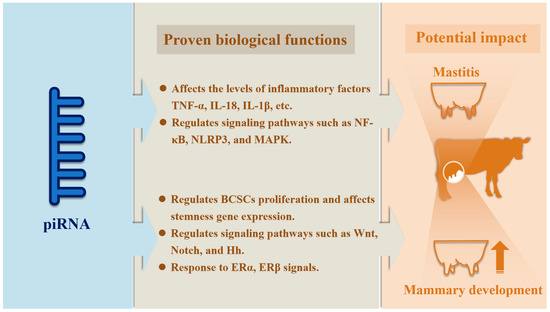 piRNAs as Potential Regulators of Mammary Gland Development