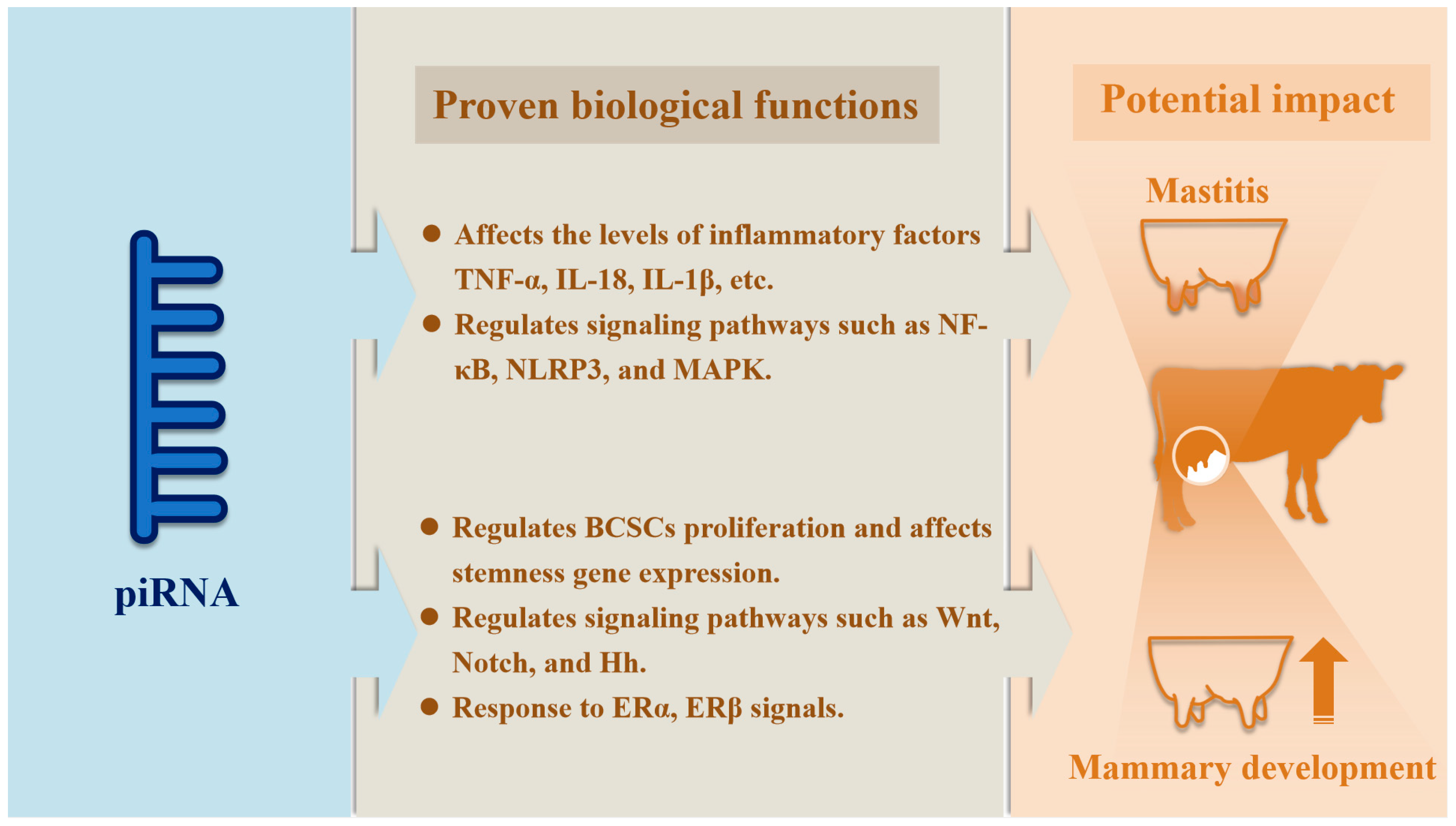 piRNAs as Potential Regulators of Mammary Gland Development