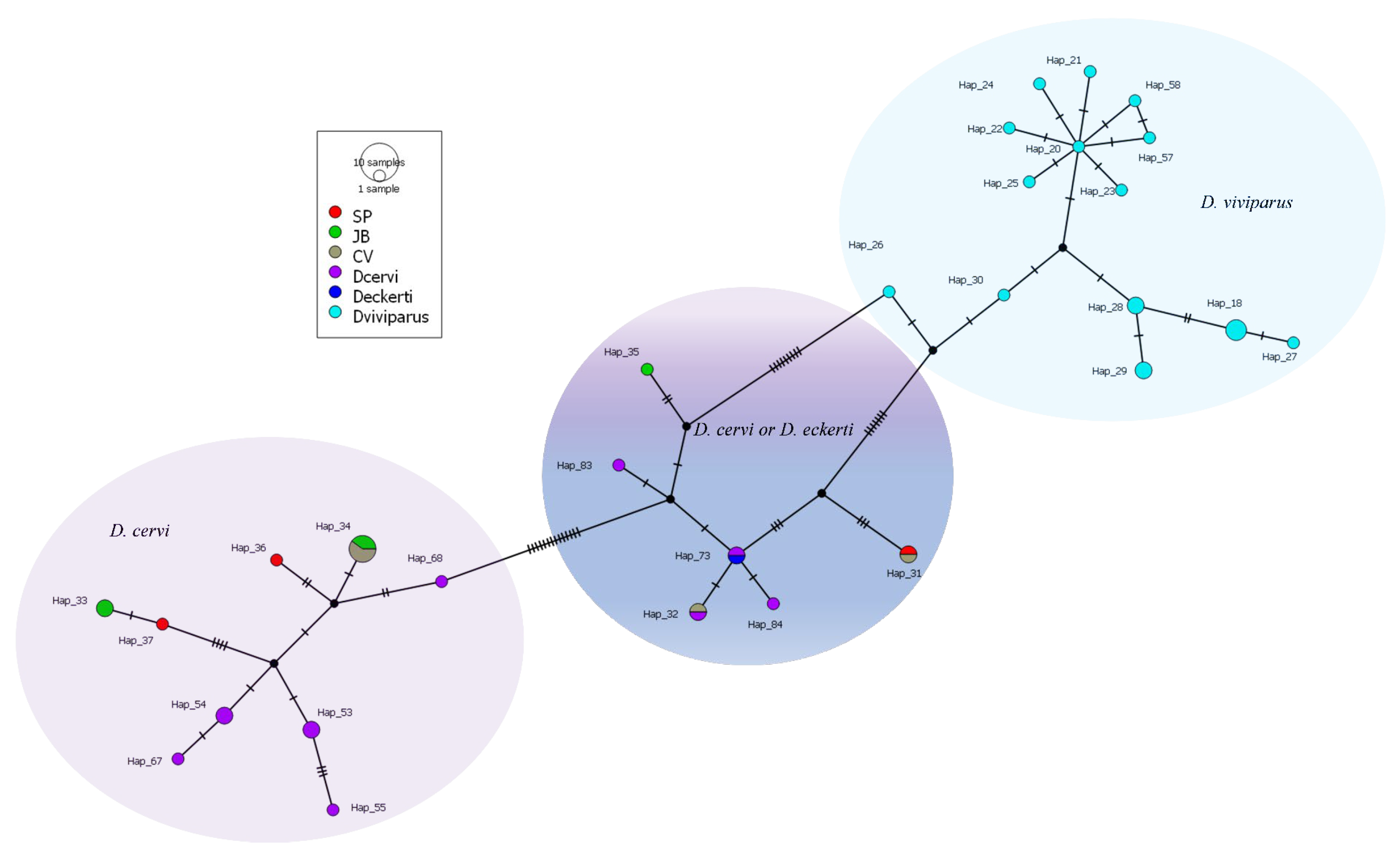 Vetsci 12 00595 g004