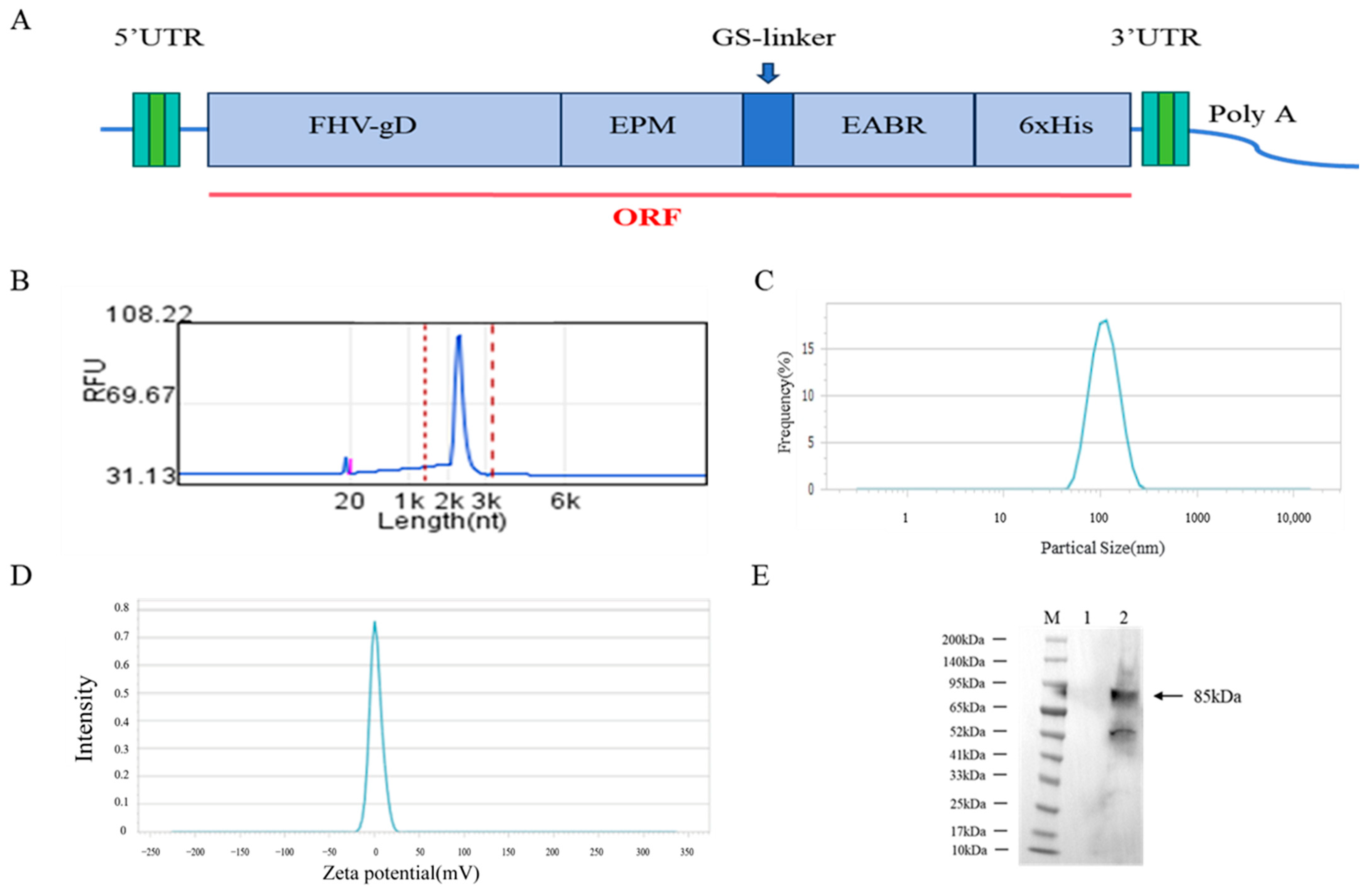 Vetsci 12 00601 g001