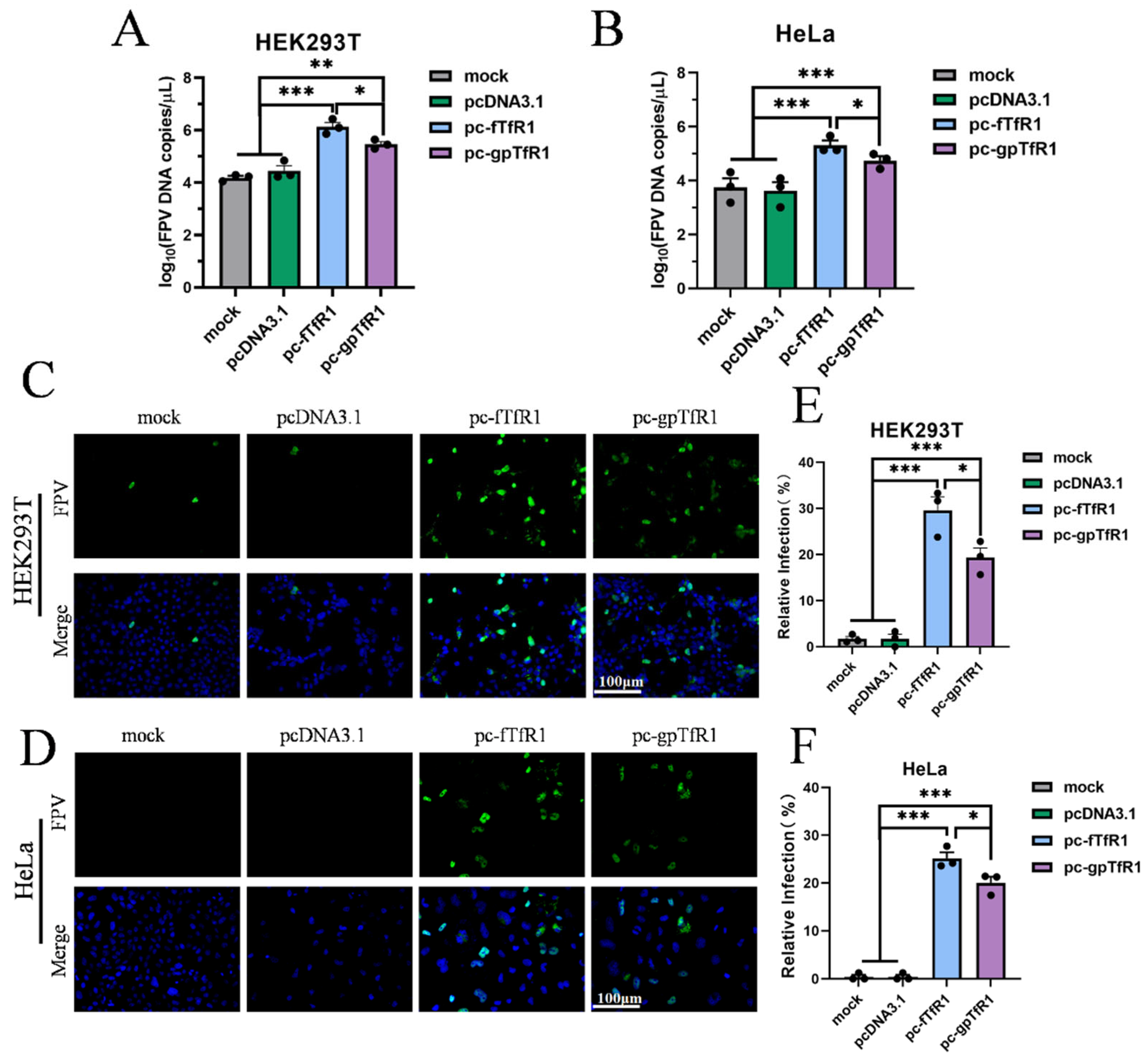 Vetsci 12 00602 g003