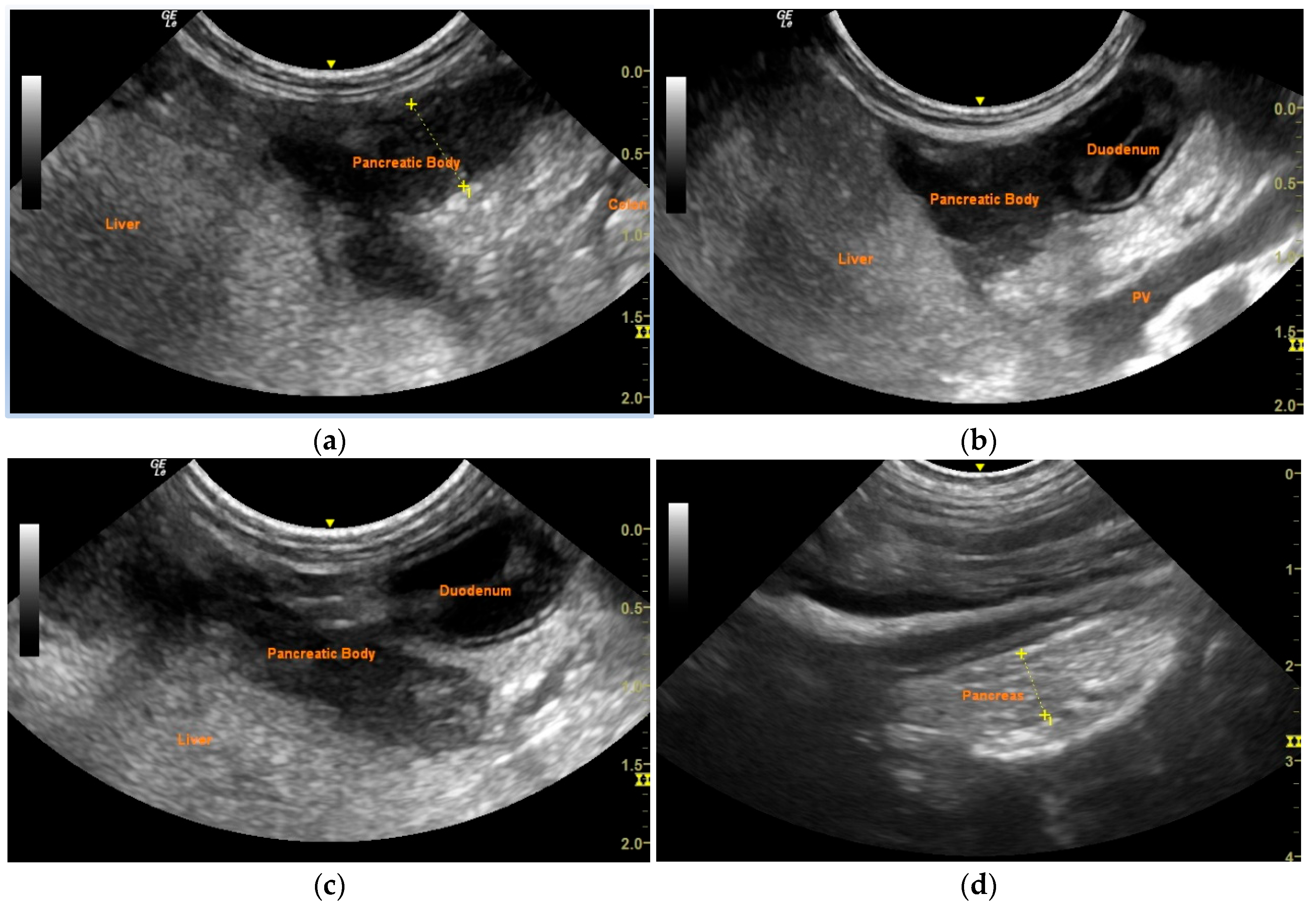 Vetsci 12 00604 g003