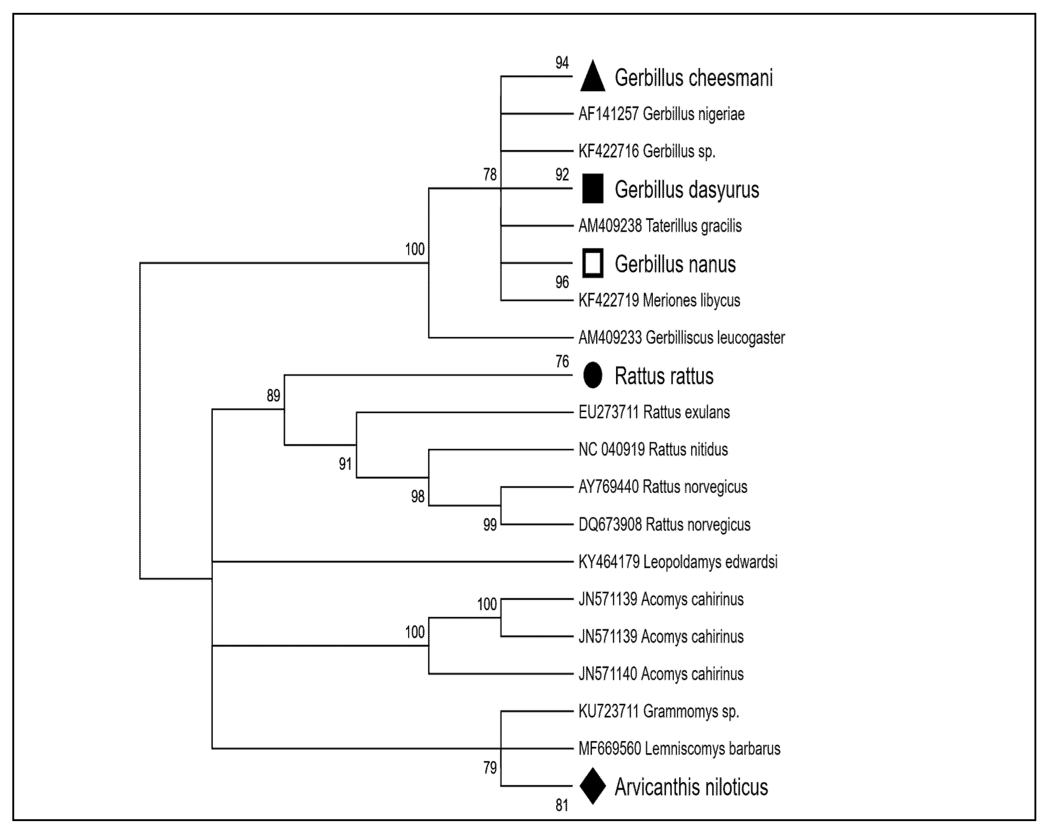 Vetsci 12 00608 g001 Vetsci 12 00608 g001